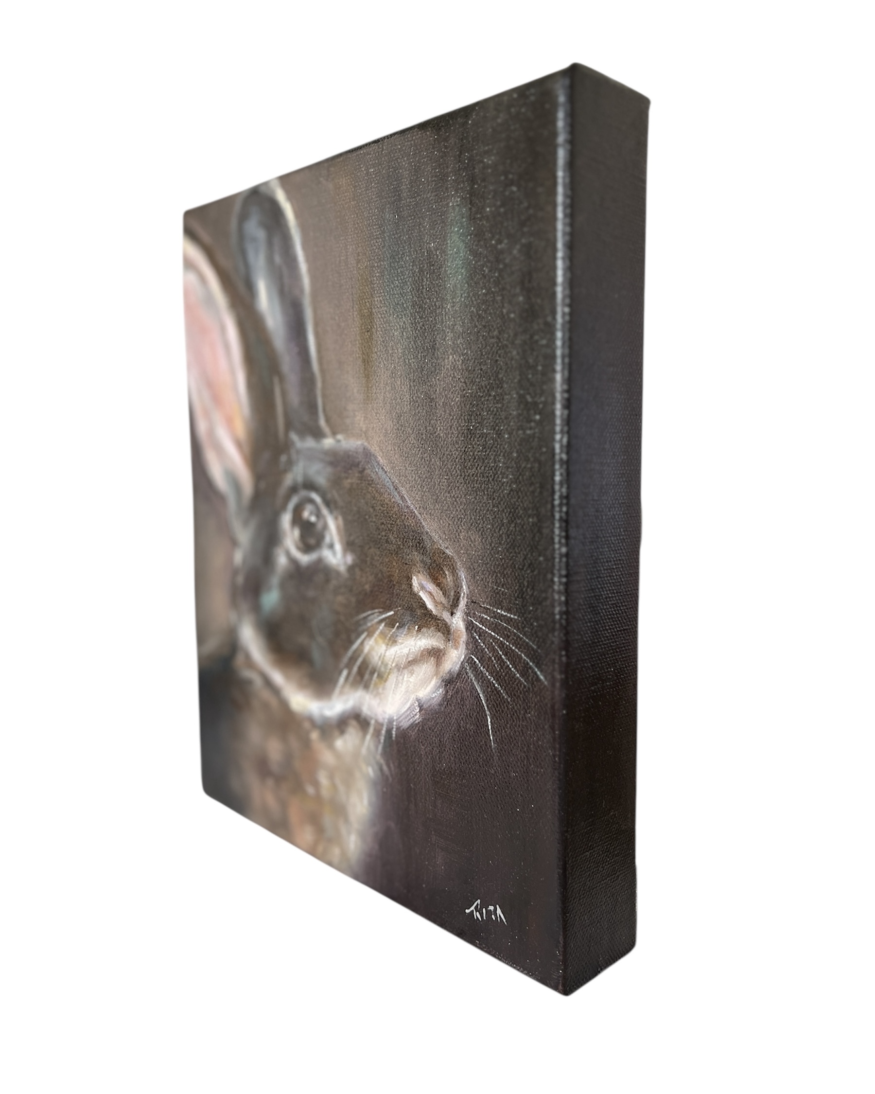 Photoroom 20251024 113412