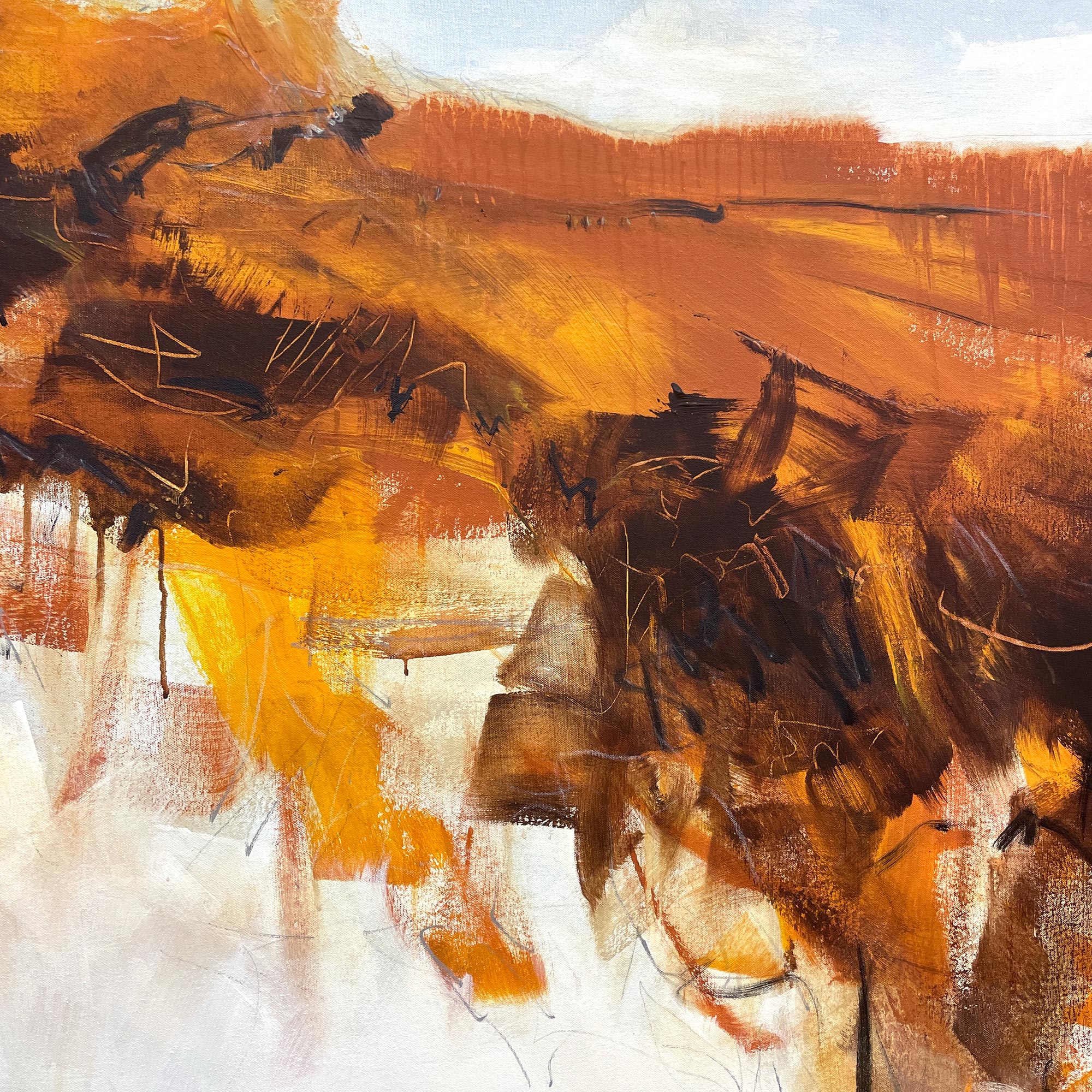 Aridlands Cheryl Harrison A 3