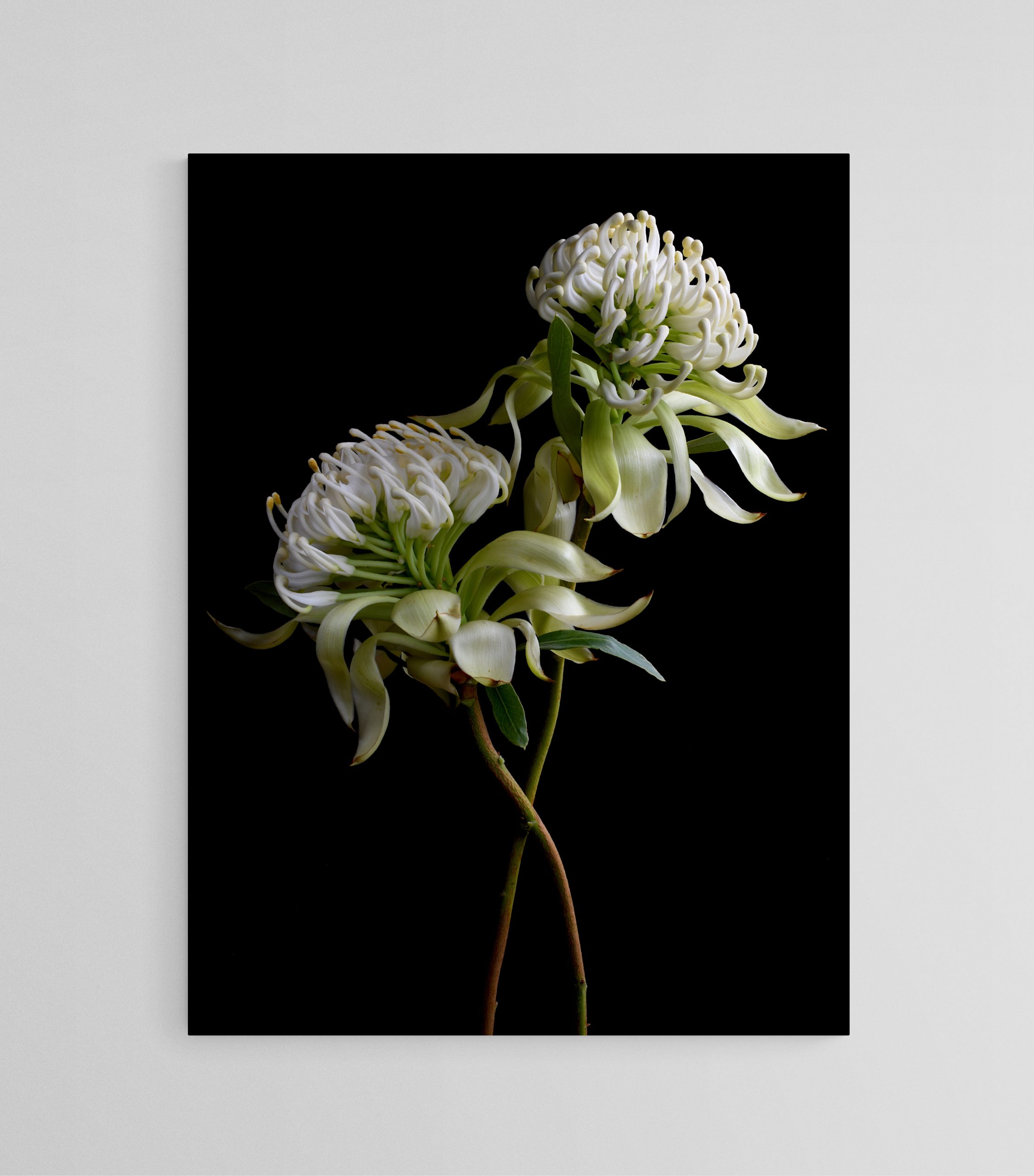 Empty Room 2025 10 28t172131.203