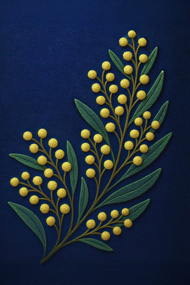 Wattle – Ltd Ed Print