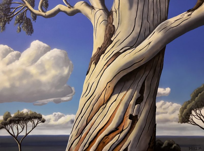 Australian Landscape Gum Tree