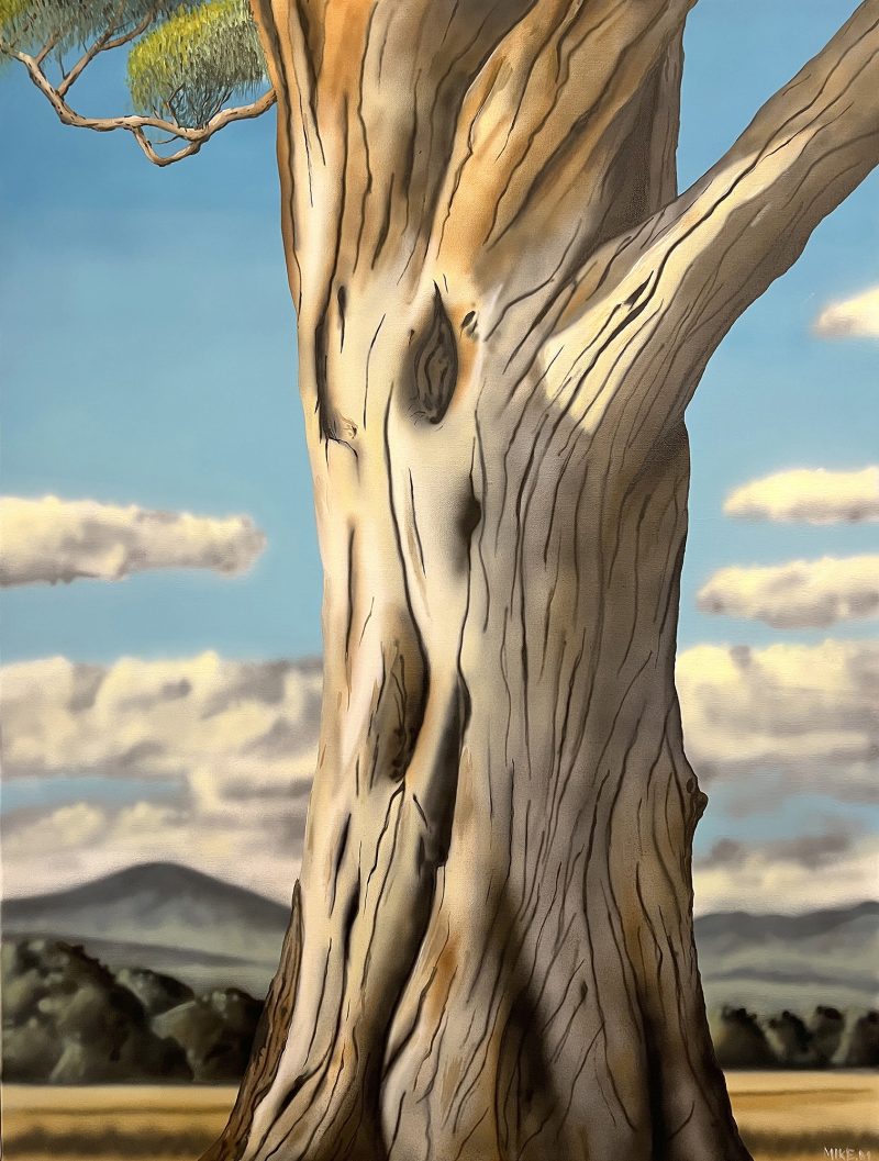 Australian Gum Tree Trunk