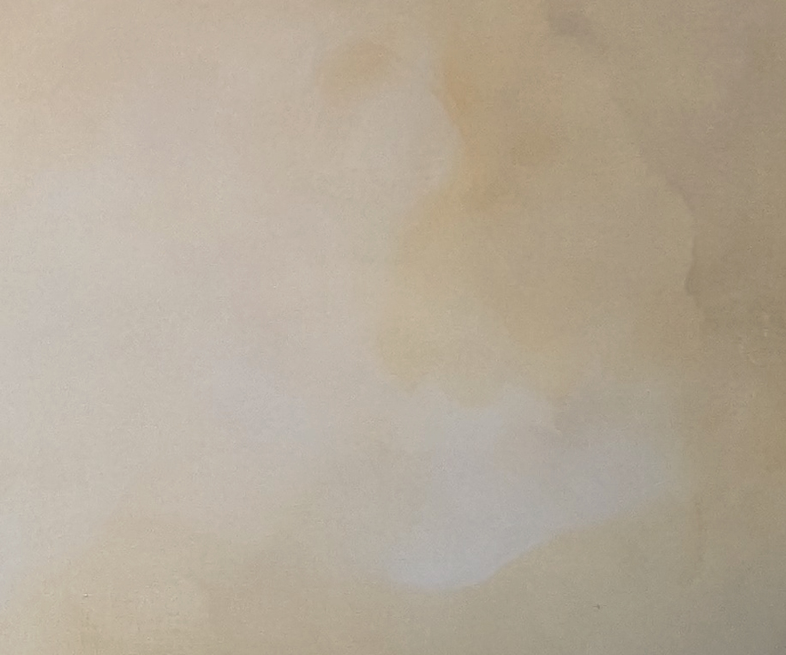 Luz De Verano Gabriela Azar Schreiner 3