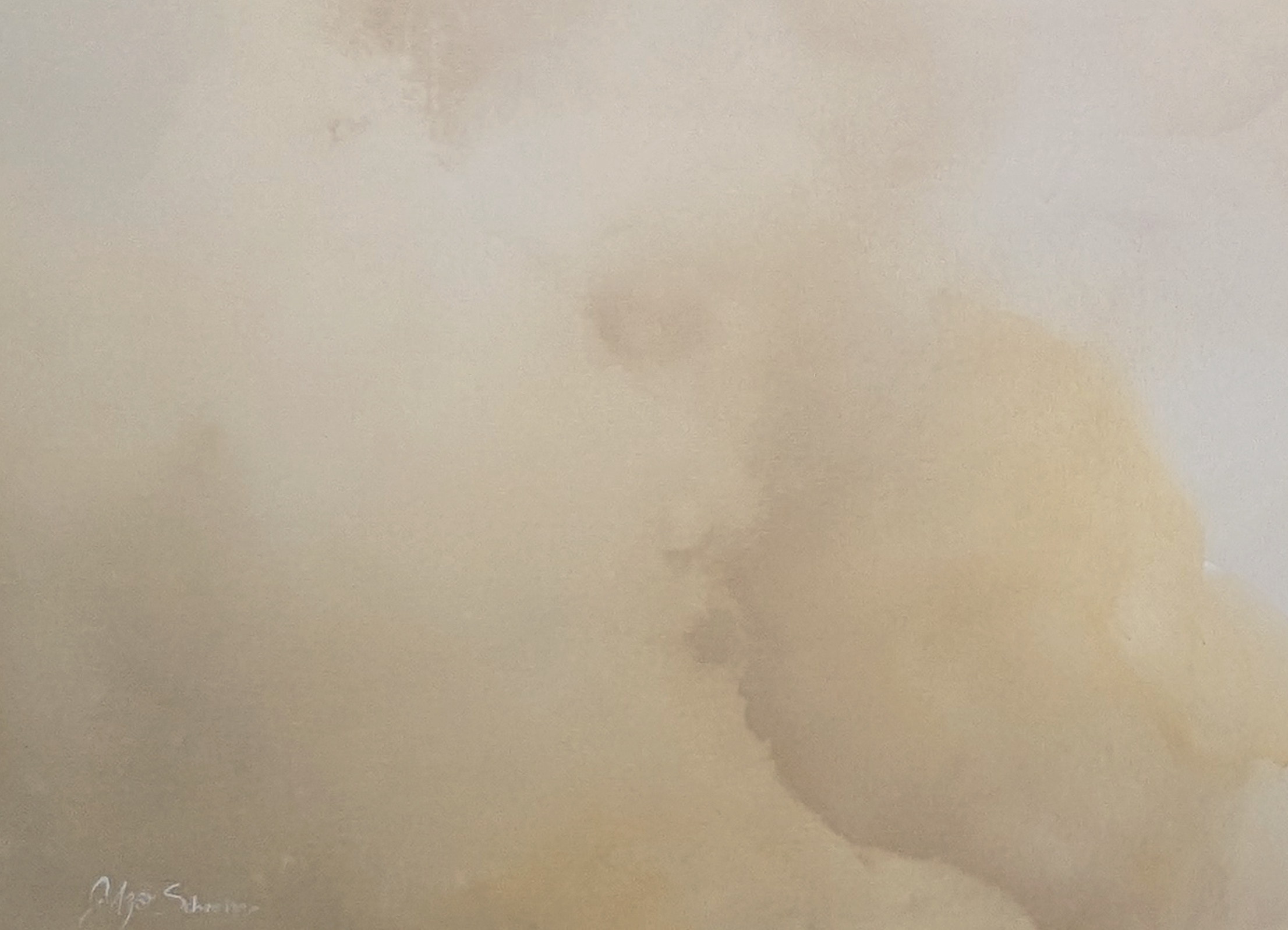 Luz De Verano Gabriela Azar Schreiner 1