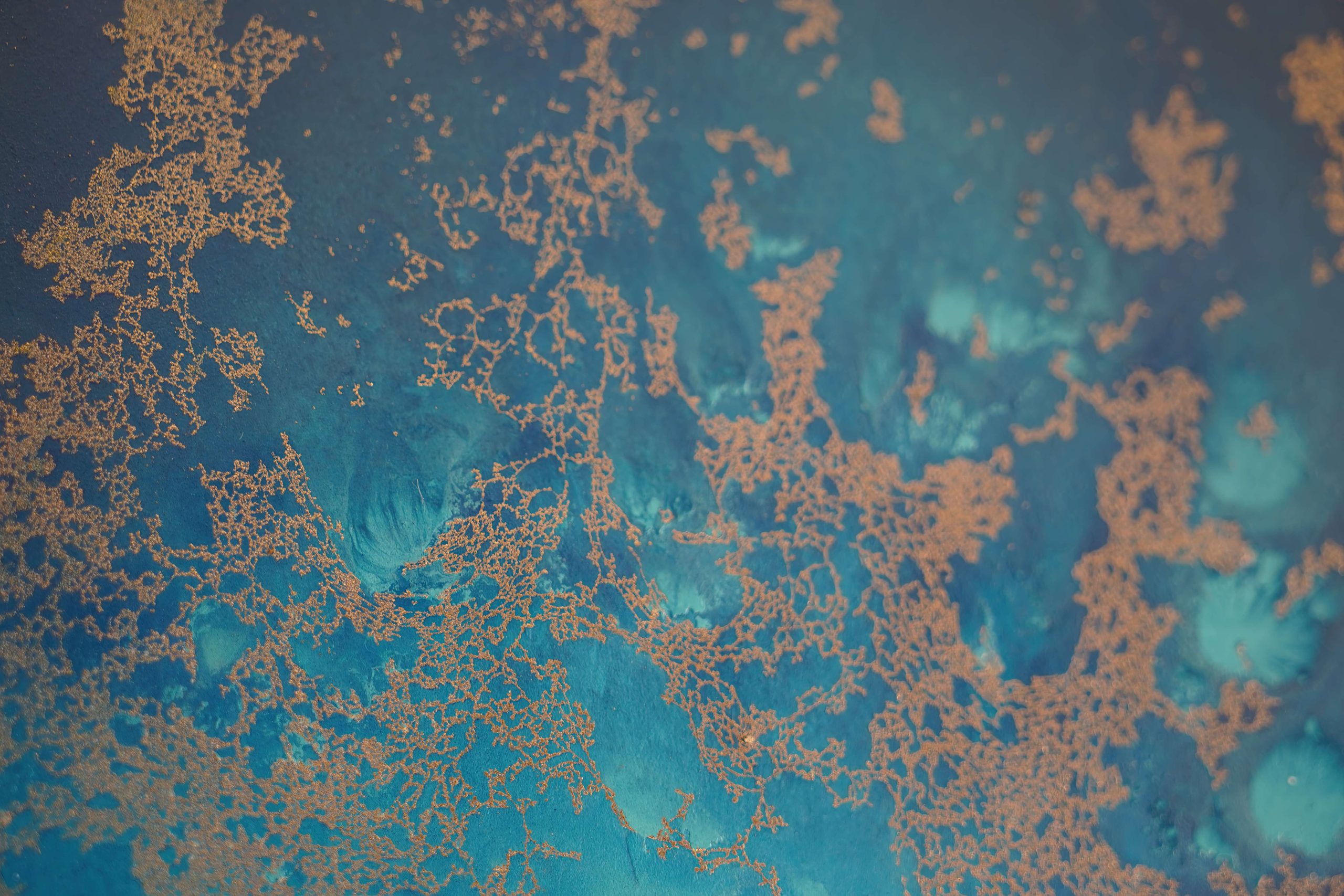 Art For New Home Petra Meikle3 Cgi 1x