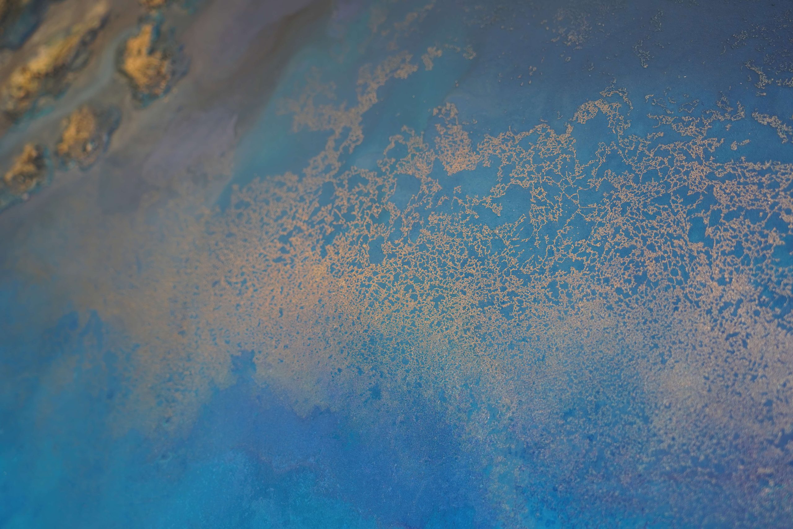 Large Wall Art Blue Petra Meikle1 Cgi 1x