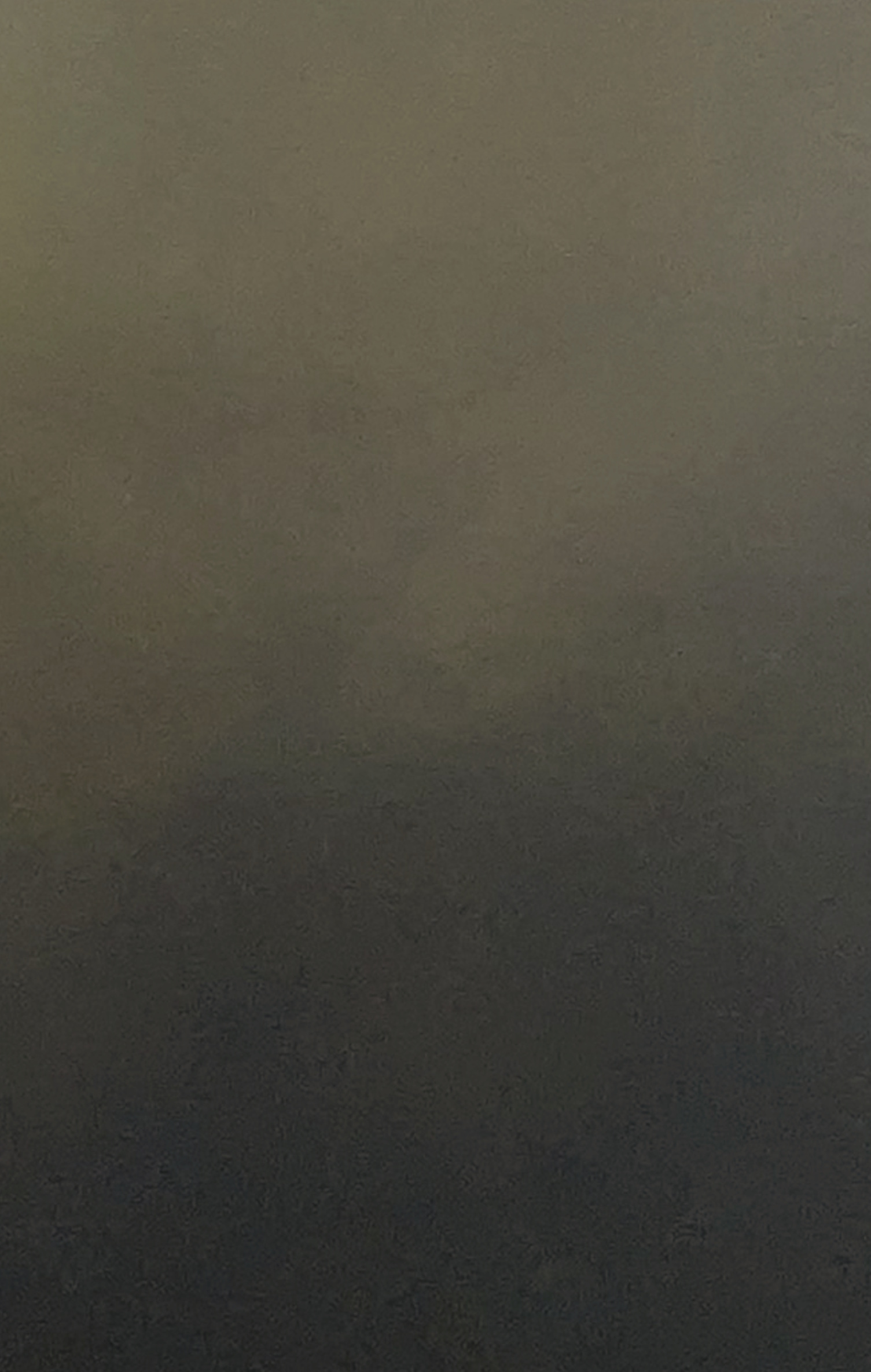 Bosque Sereno Gabriela Azar Schreiner 2