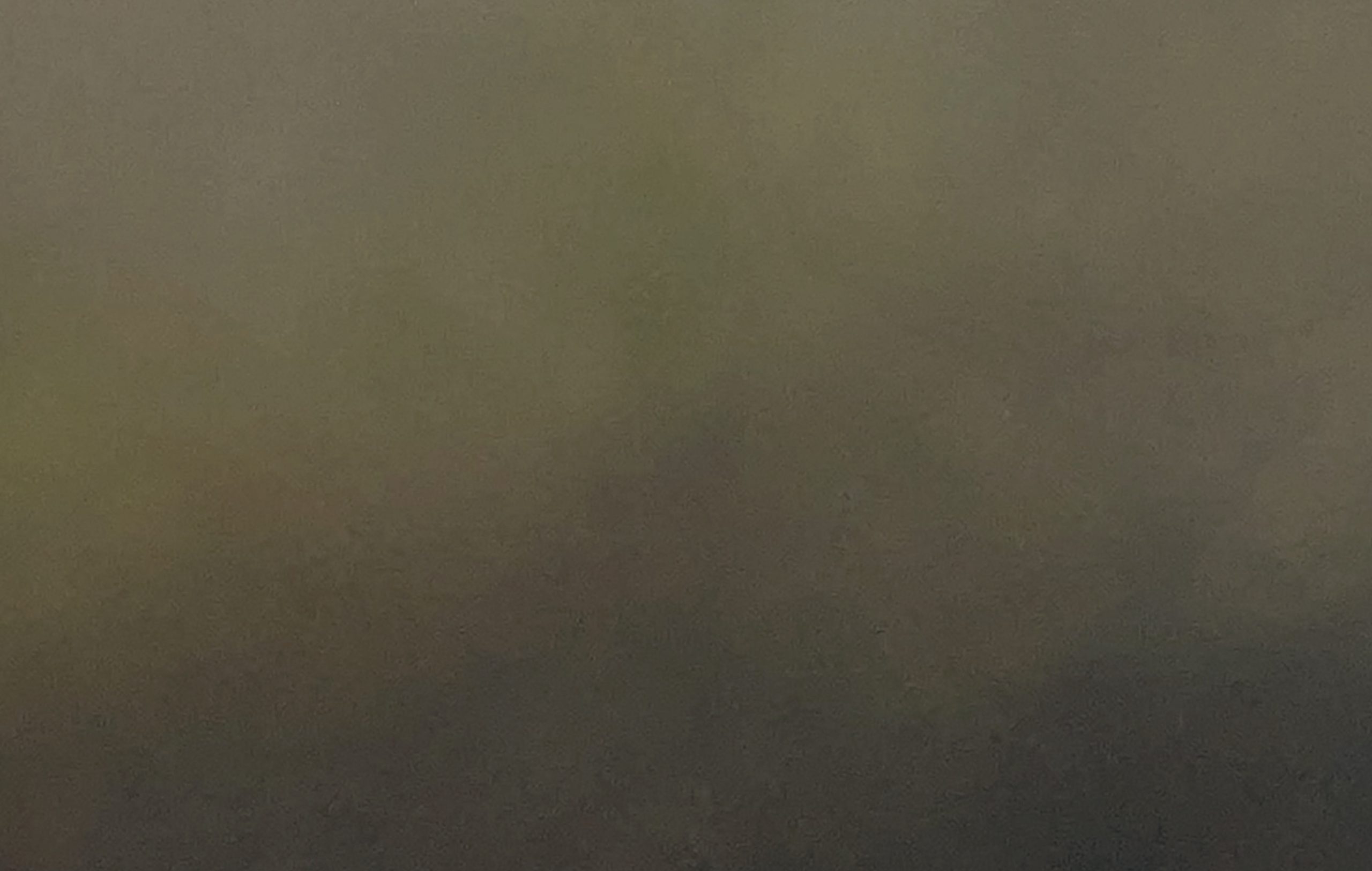 Bosque Sereno Gabriela Azar Schreiner 3