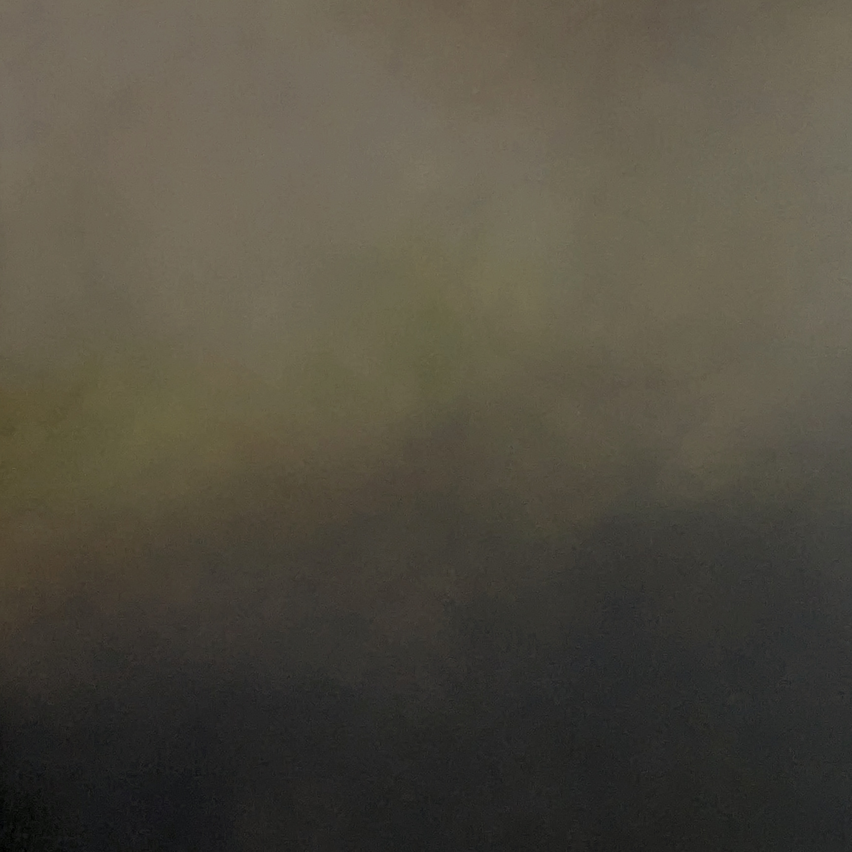 Bosque Sereno Gabriela Azar Schreiner