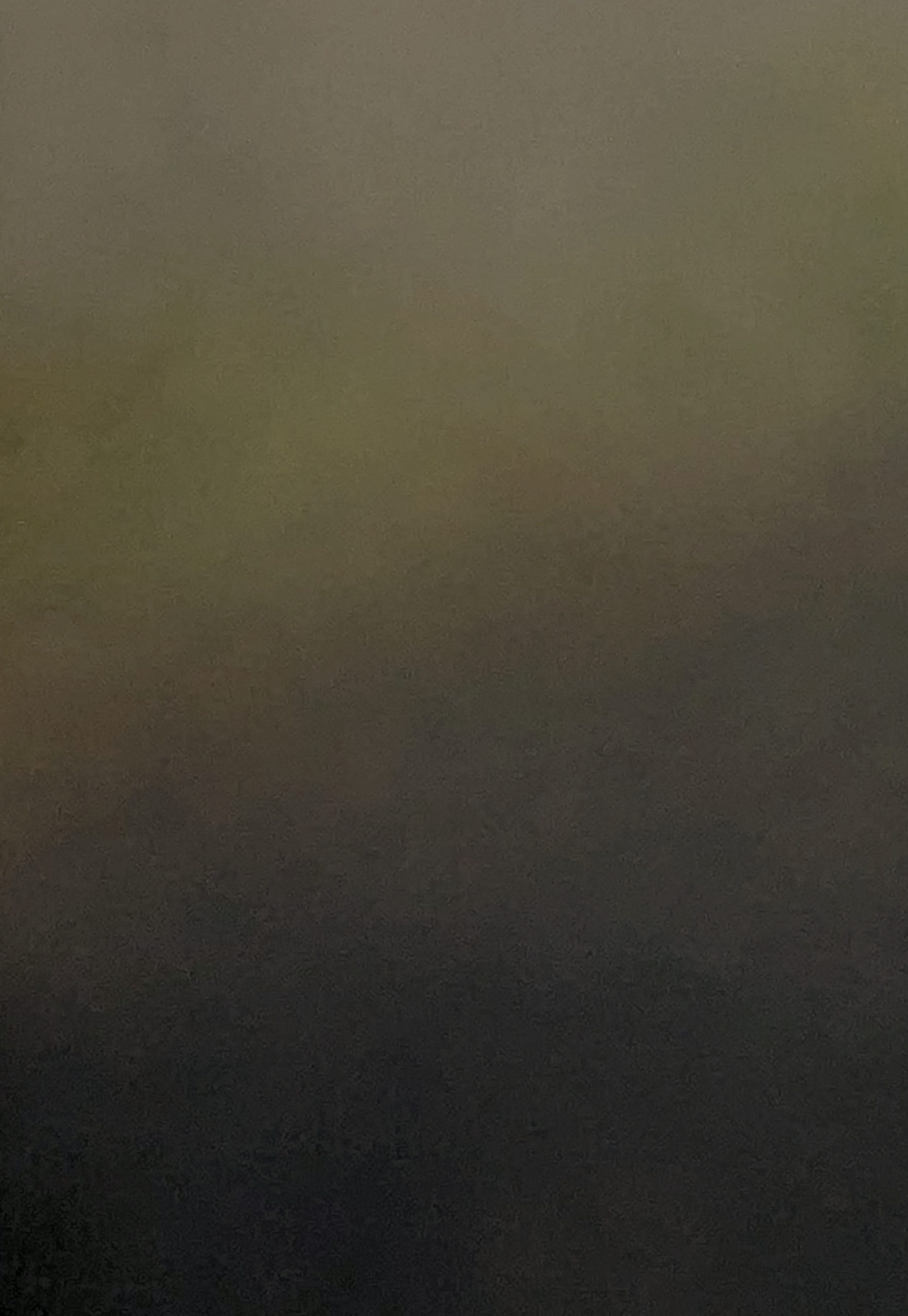 Bosque Sereno Gabriela Azar Schreiner 1