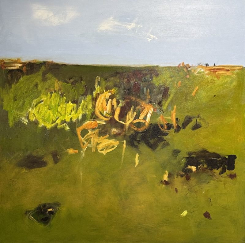 Countryside – Field of Dreams