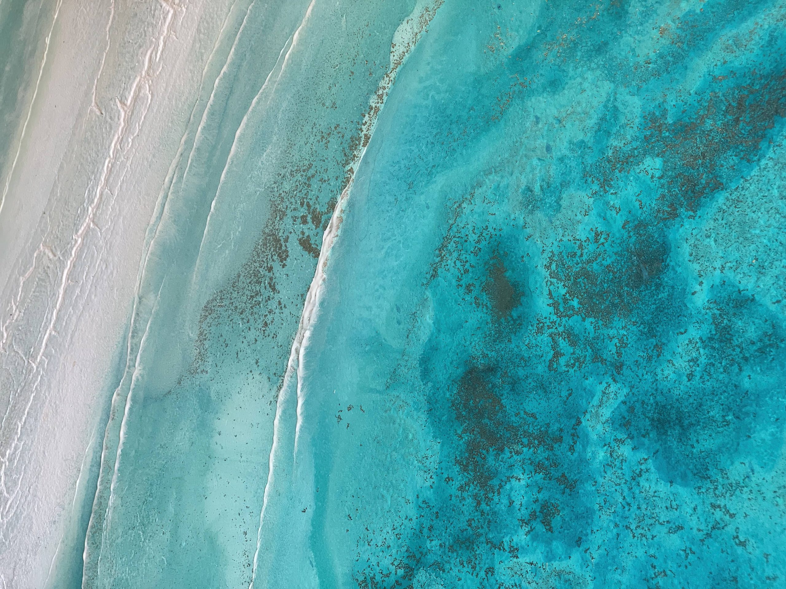 Original Australian Art For Sale Petra Meikle8