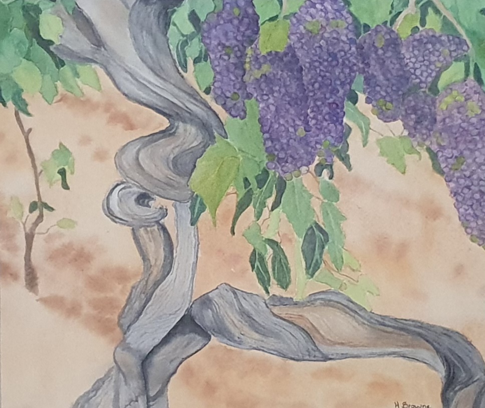 The Vineyard Unframed