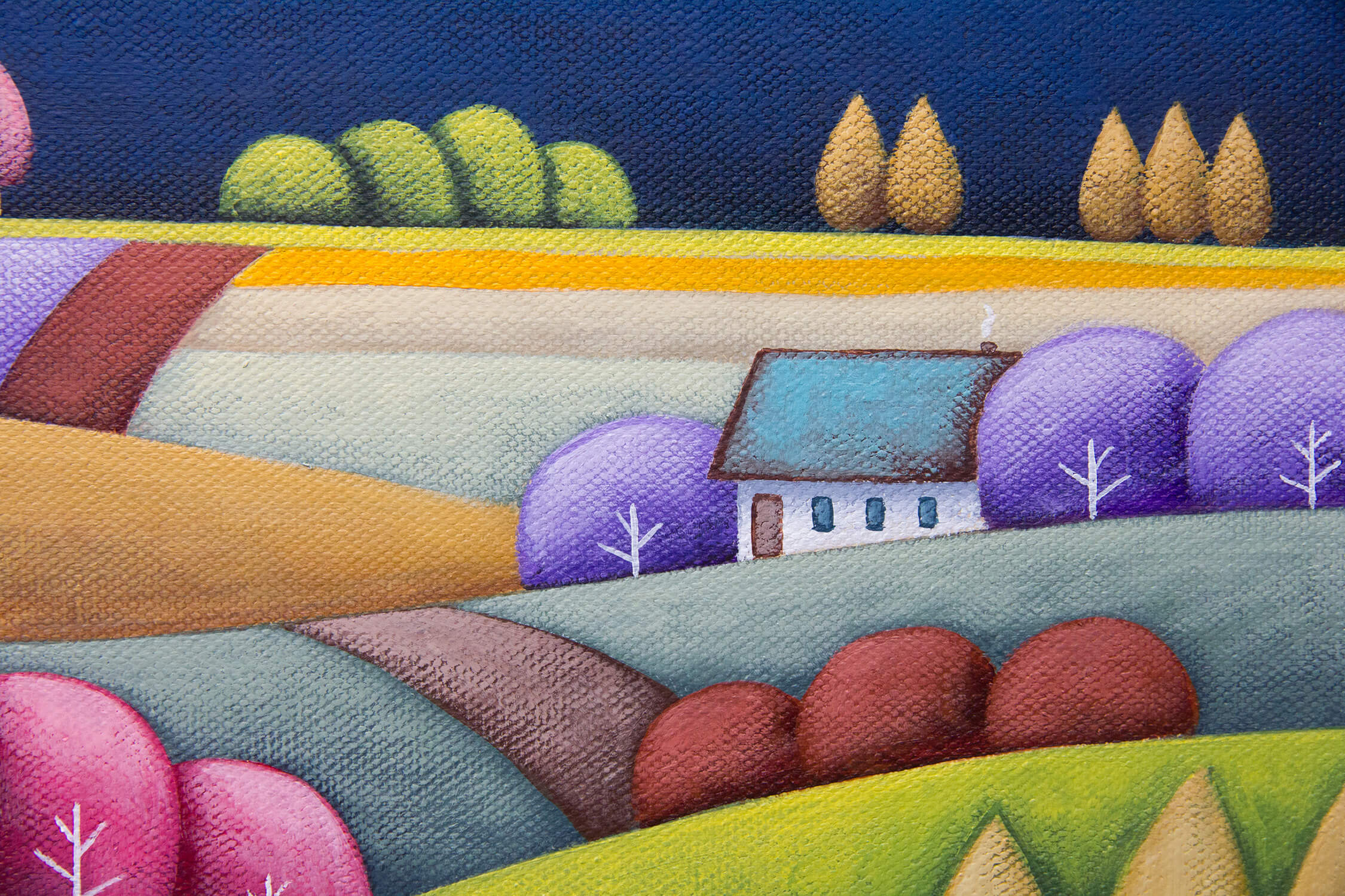 Colours Of Night Square Closeup
