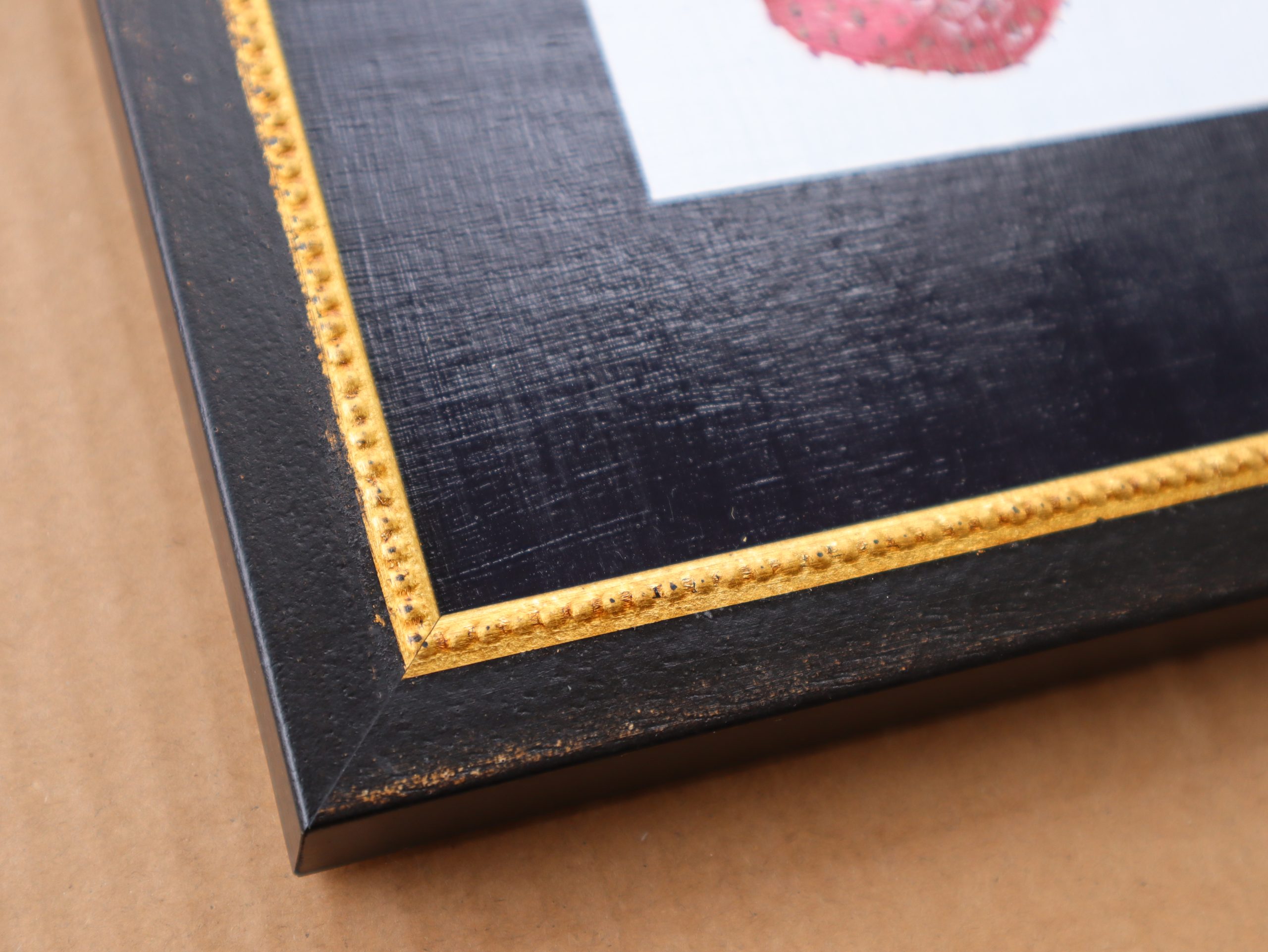 Homegrown Elisha Mcguckin Corner