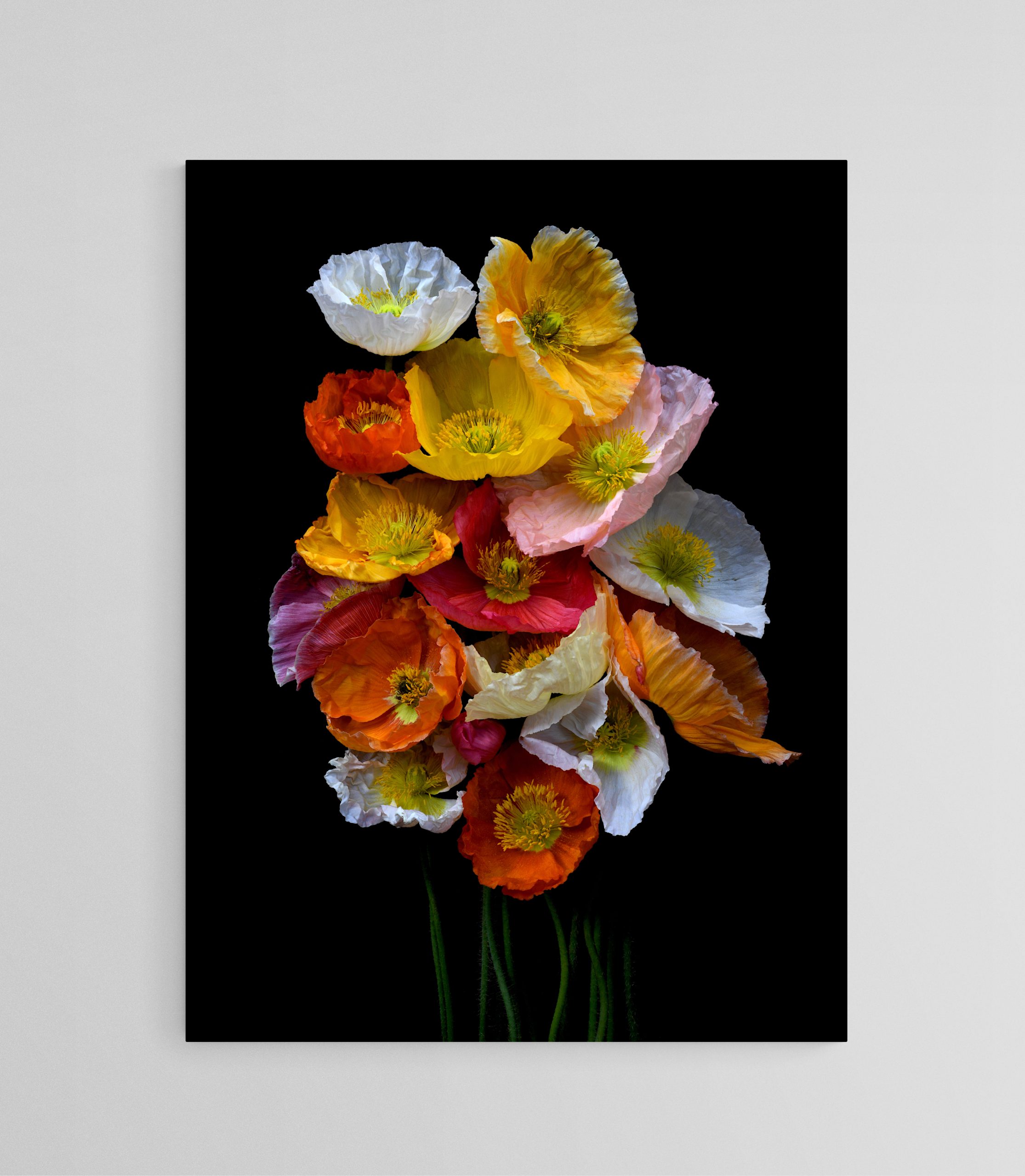 Empty Room 2025 11 12t131016.883