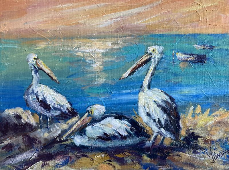Pelicans enjoying the sunset