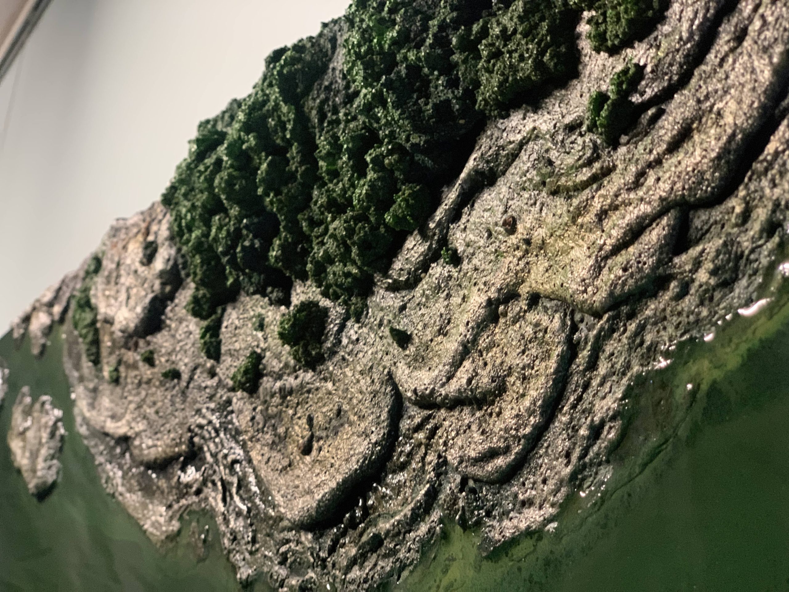 Living Room Art Petra Meikle18