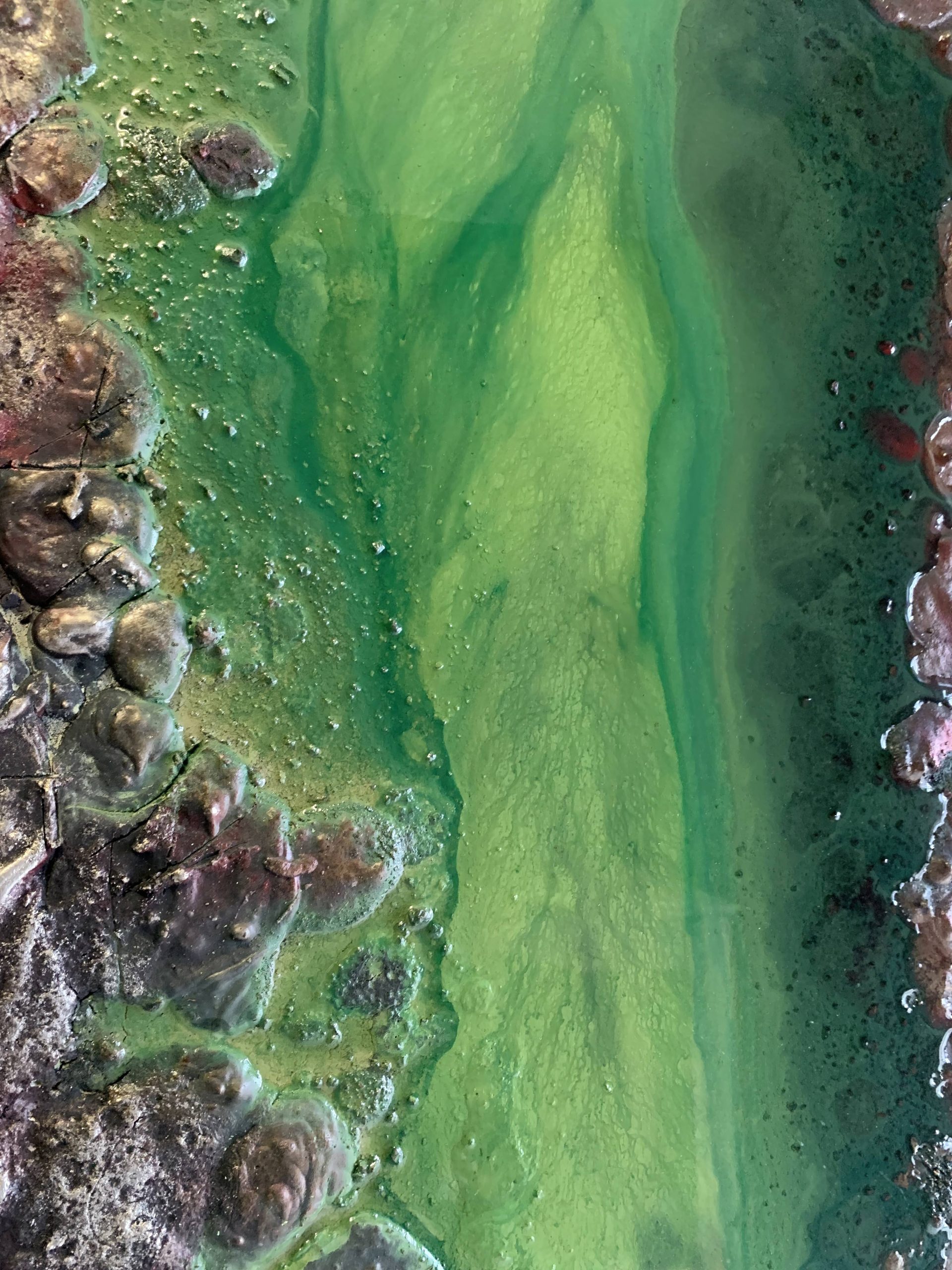 Resin Green Wall Art Petra Meikle5 Cgi 1x