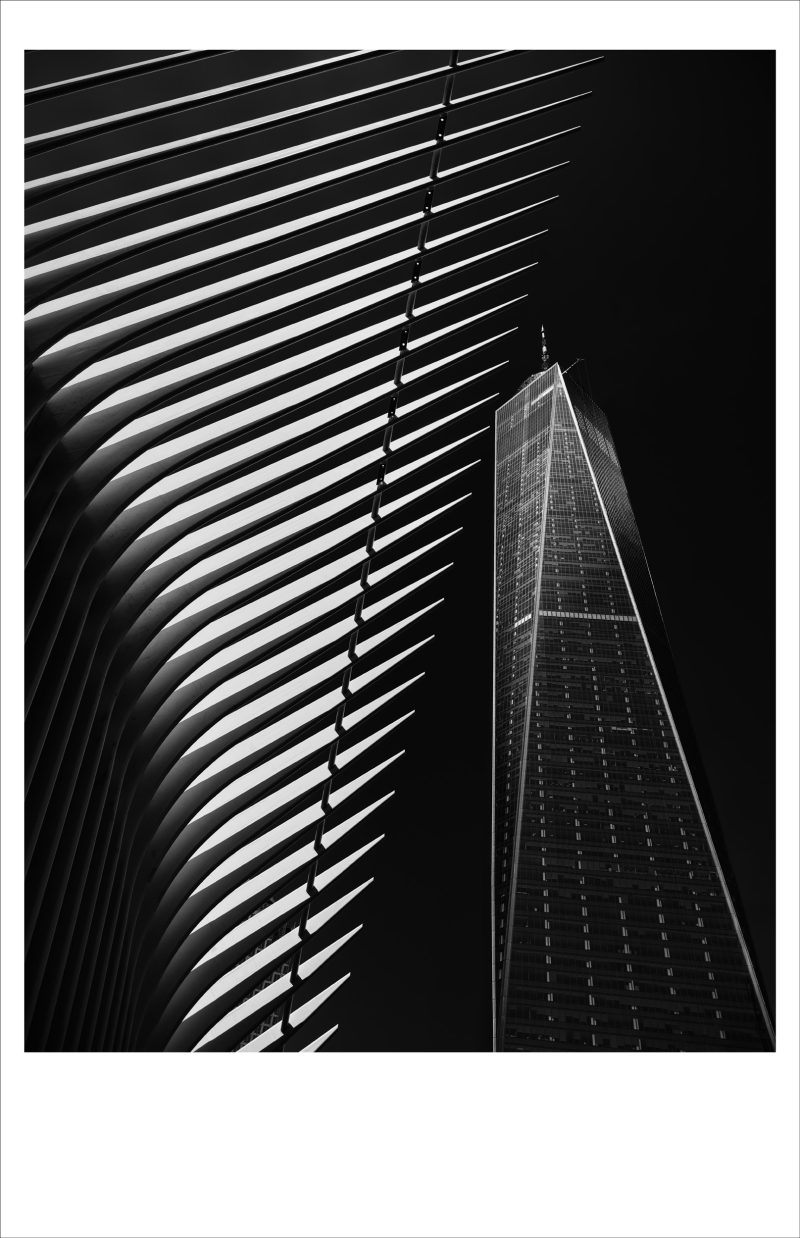 Ribs of Steel, Tower of Glass, WTC, NYC, USA