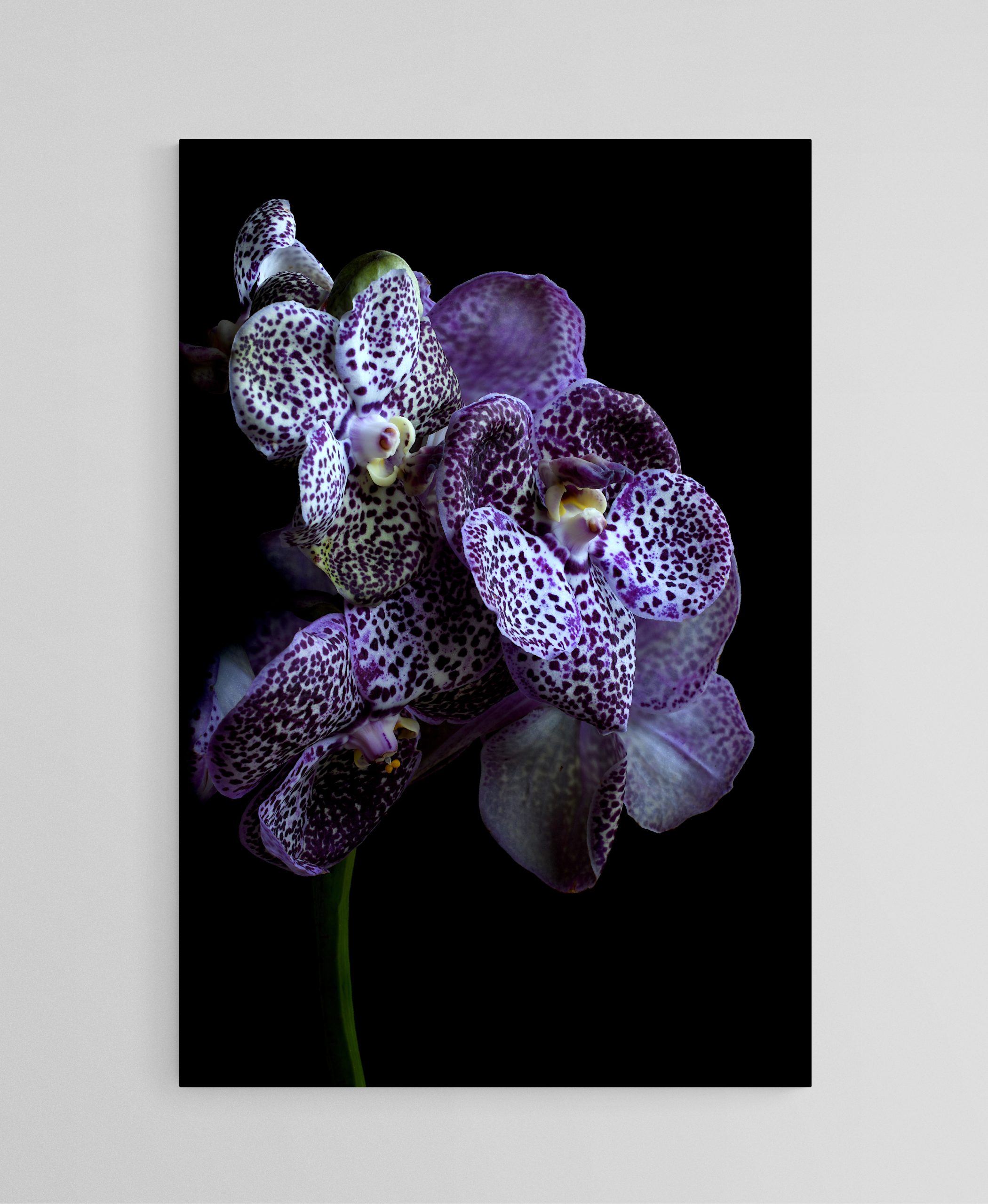 Empty Room 2025 08 18t124031.694