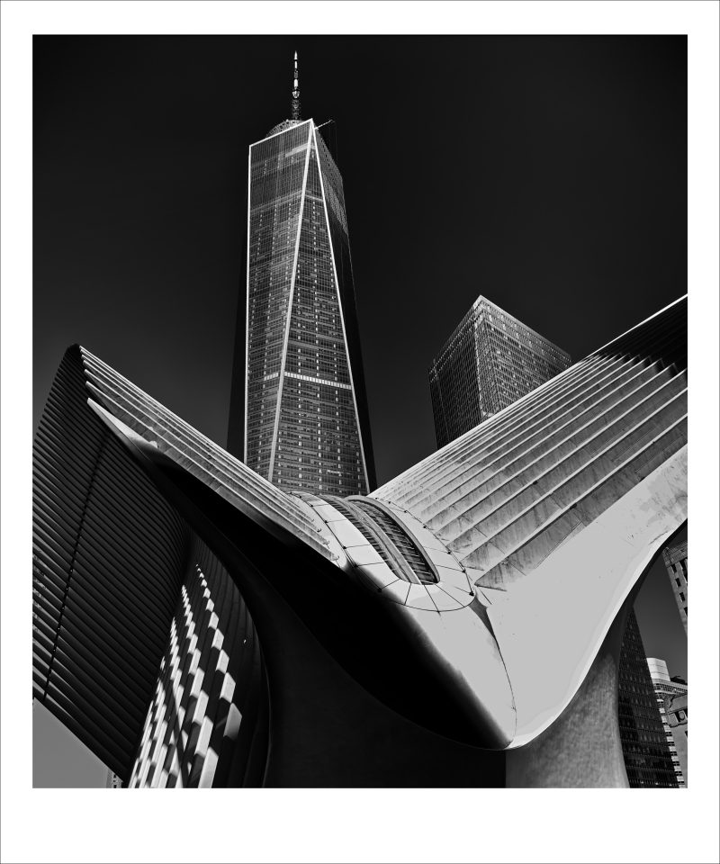 Oculus Rising: World Trade Center