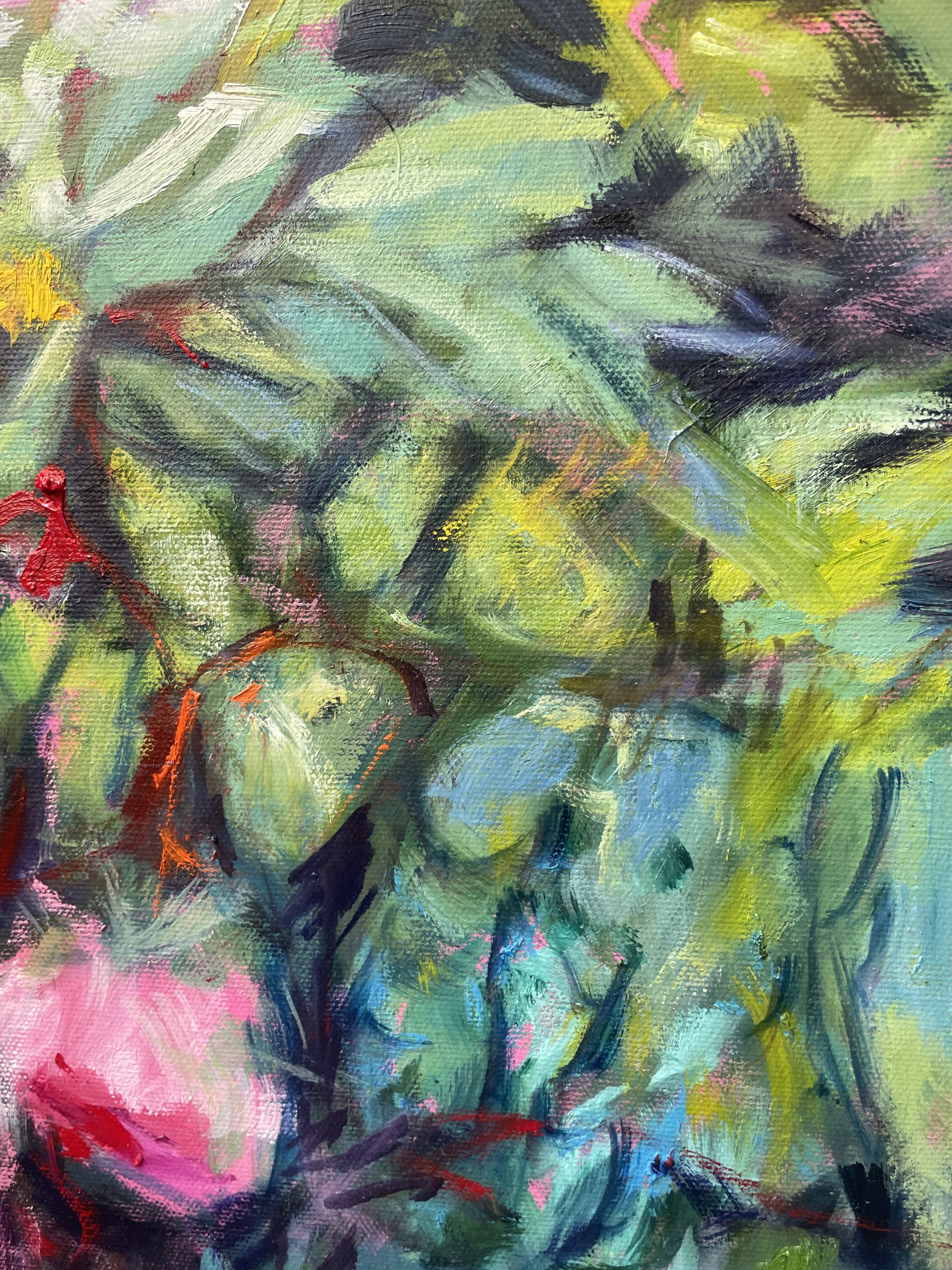 Joe's Roses Closeup 3