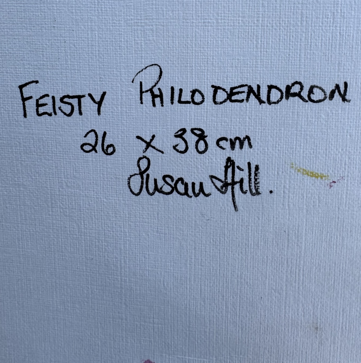 Fiesty Philodendron Size Sig