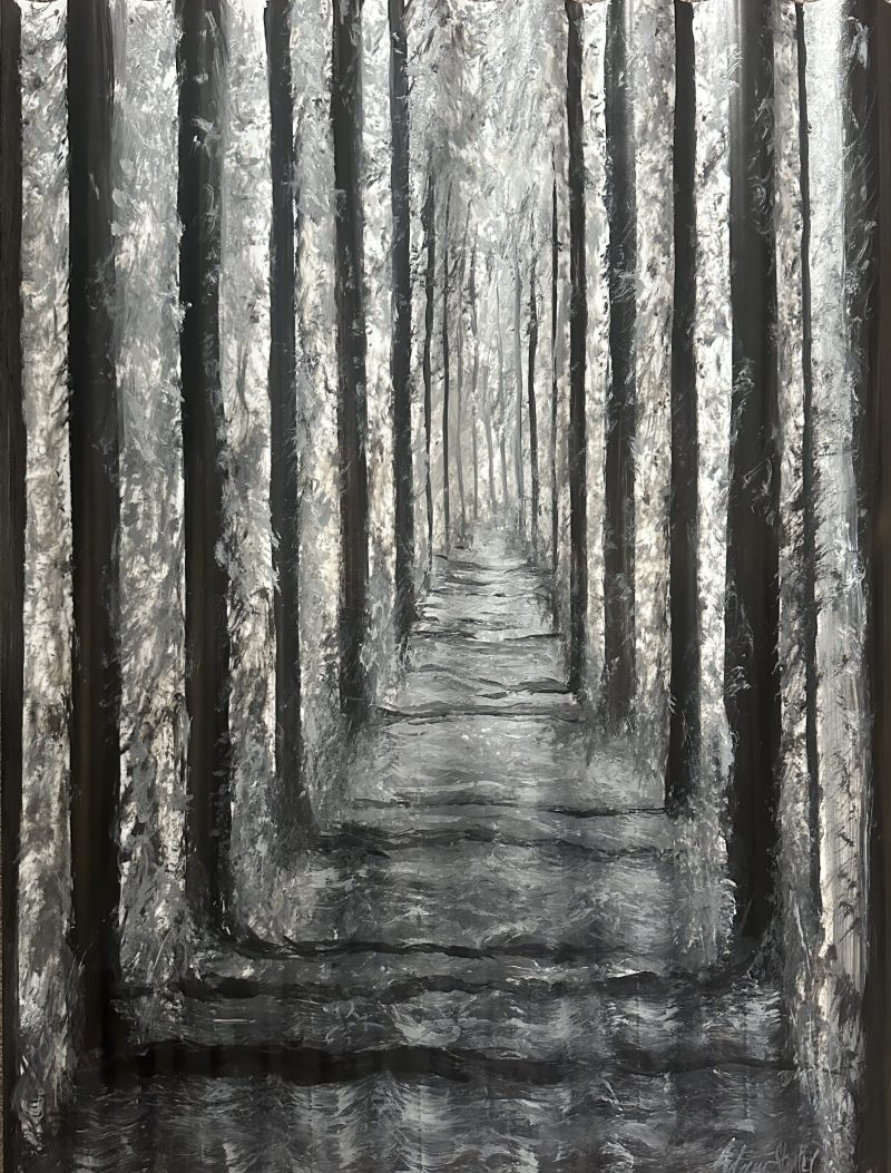 Twilight forest walk