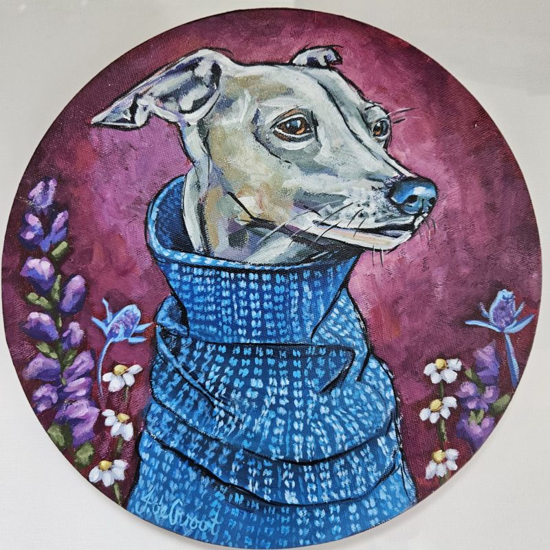 Elegance of a Whippet