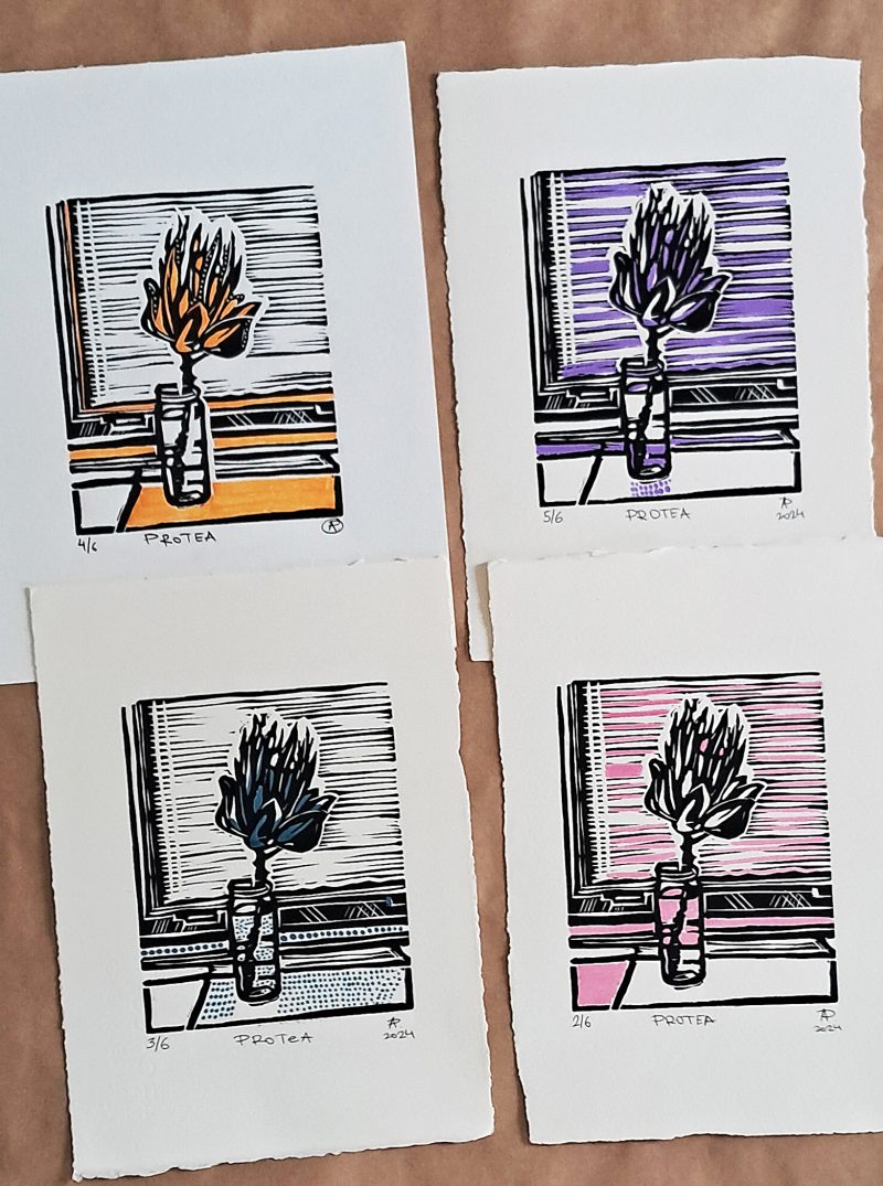 “Study of a Single Flower” – PROTEA / 4 sheets