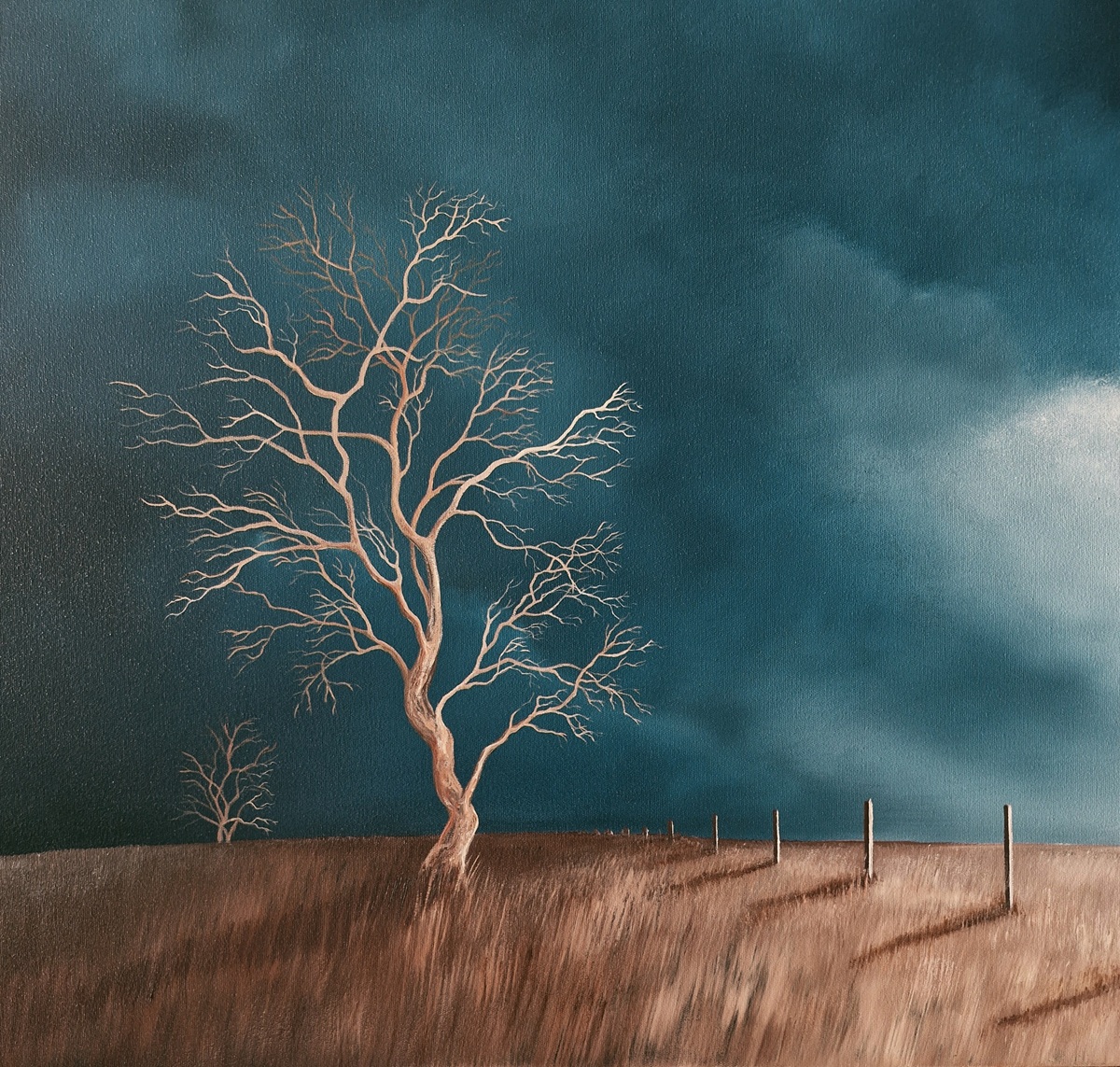 Along The Posts Lucinda Leveille 2