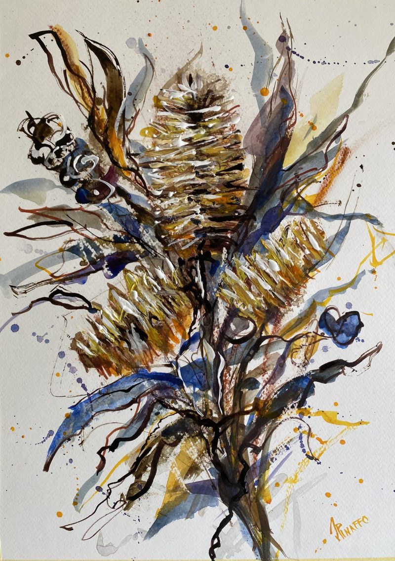 The shapes of banksias