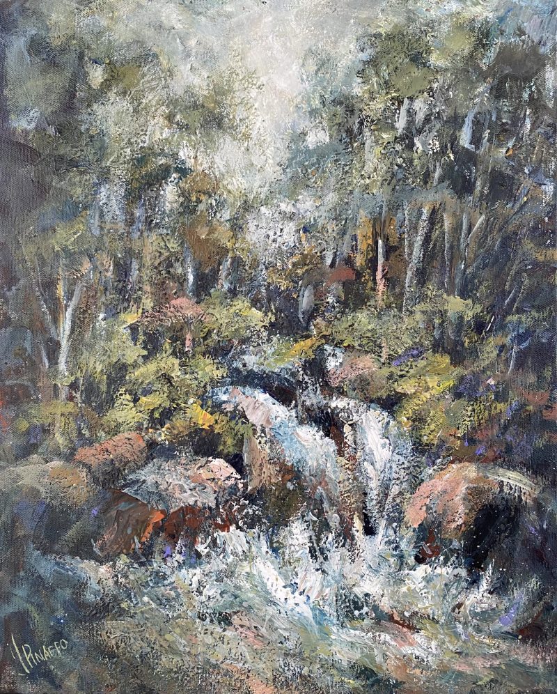 The beauty of the rainforest