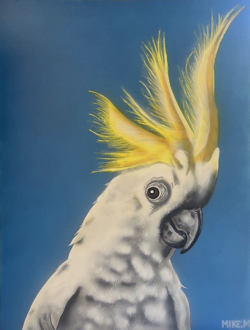 Cheeky Cockatoo