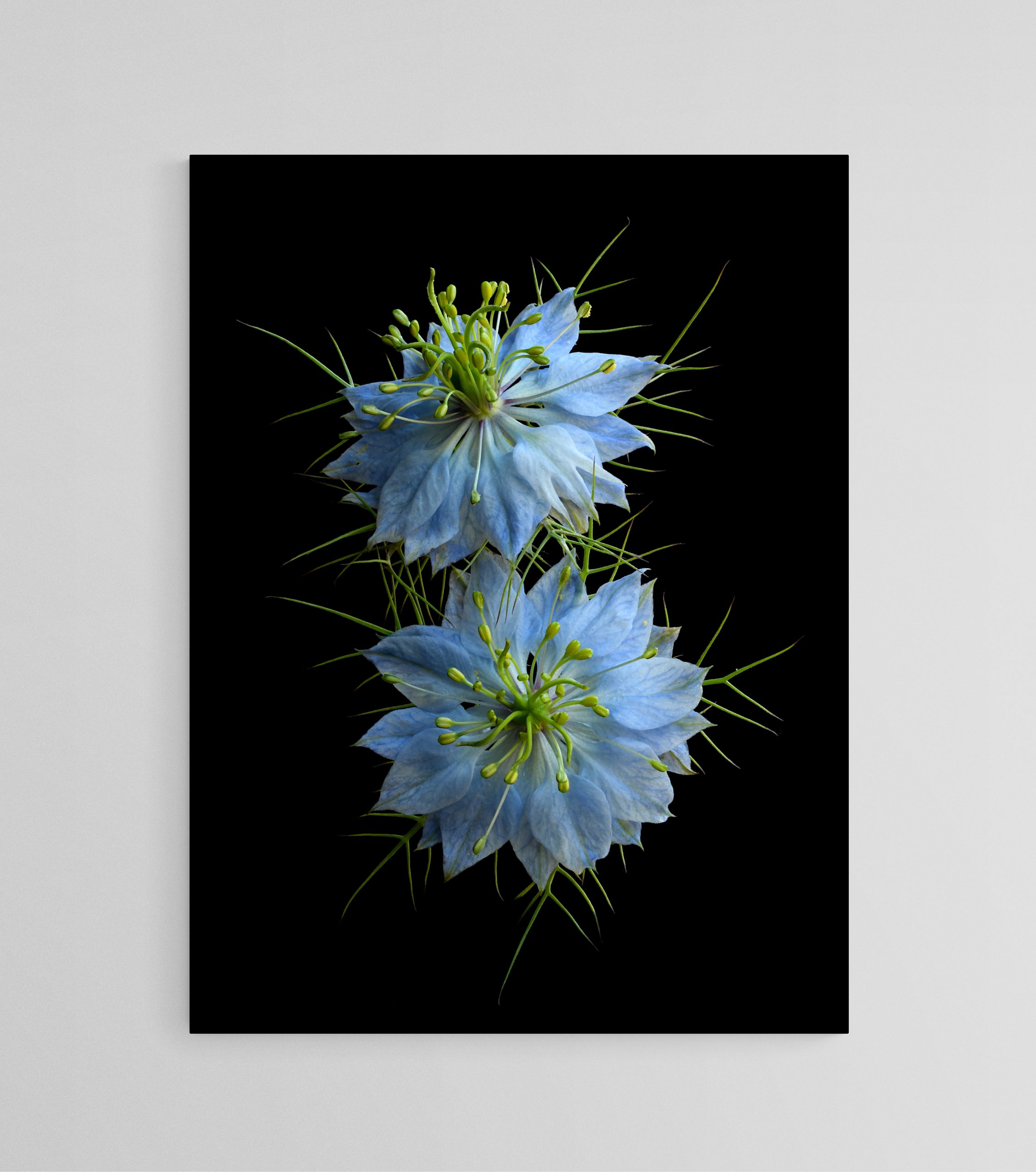 Empty Room 2025 11 25t170348.640