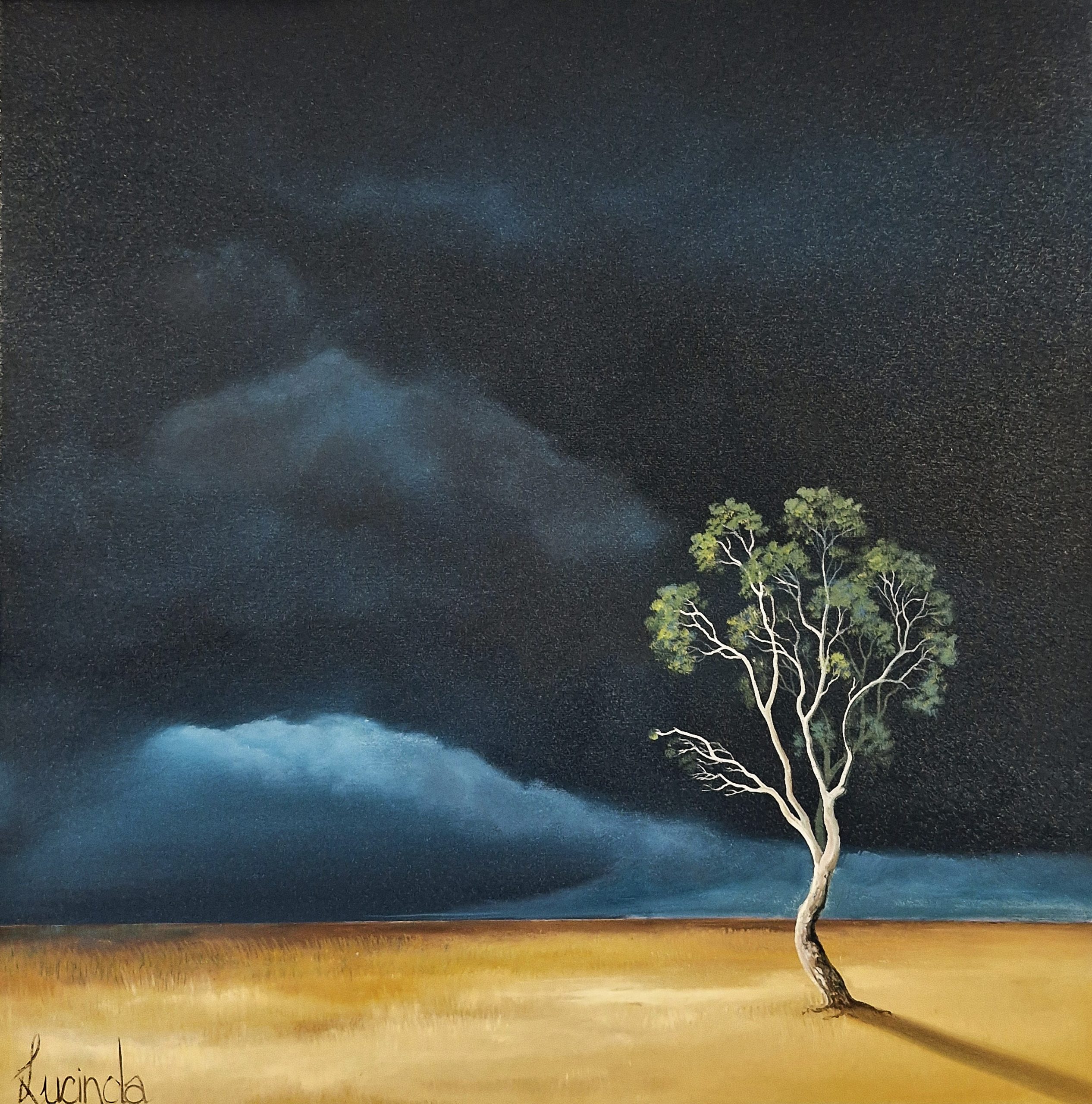 Light On The Last Tree Lucinda Leveille