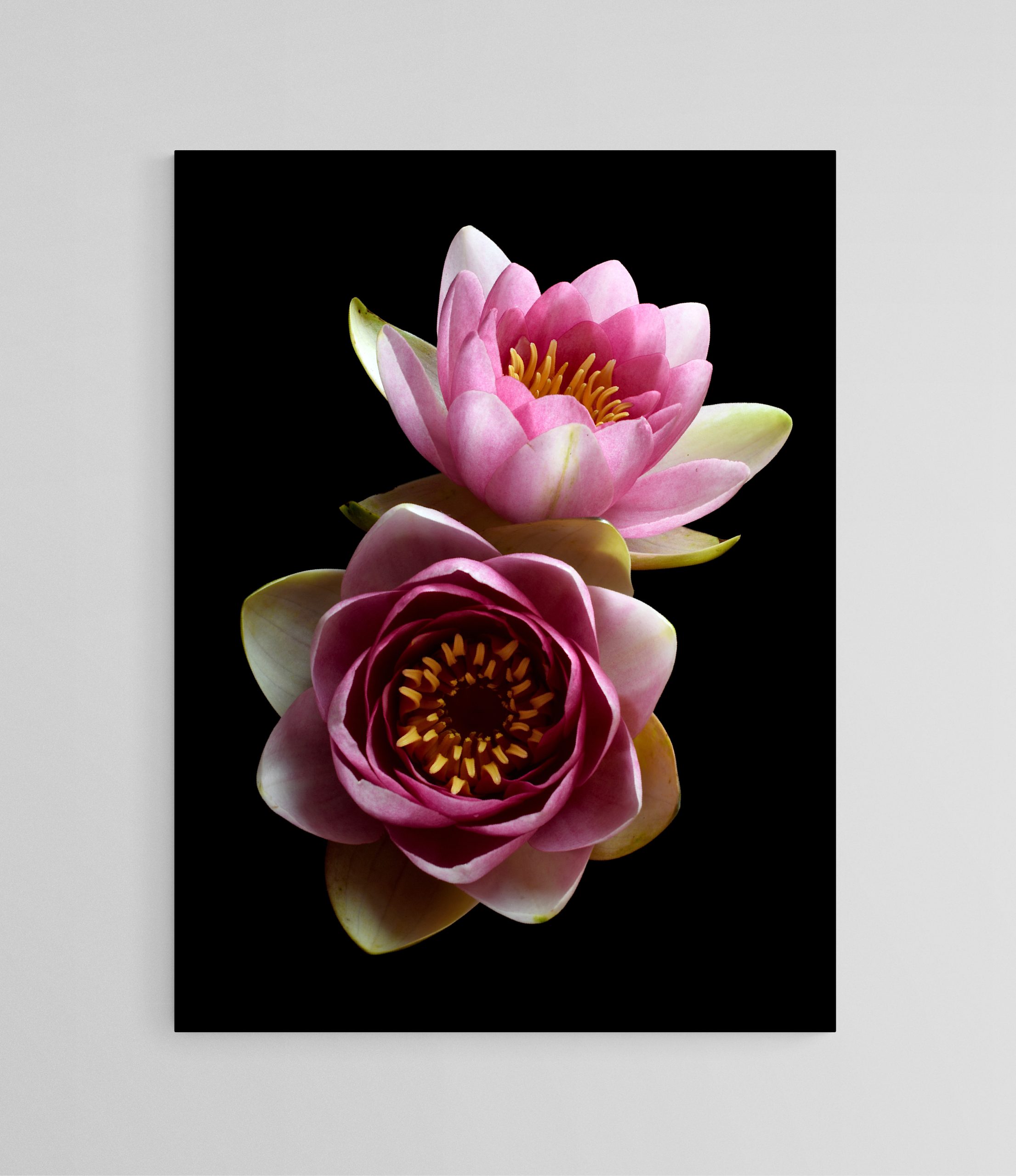 Empty Room 2025 11 30t165720.553