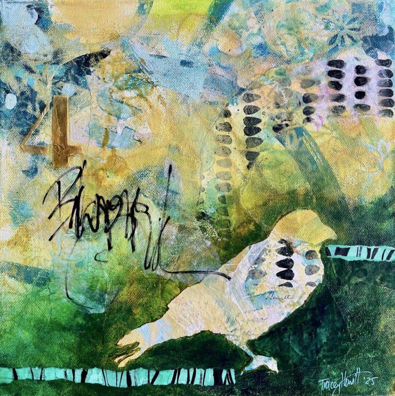 Balcony Bird: Shedding Struggles