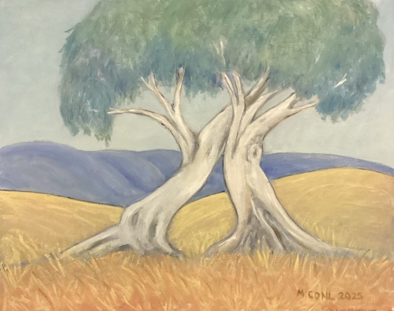 The summit of two tree hill.