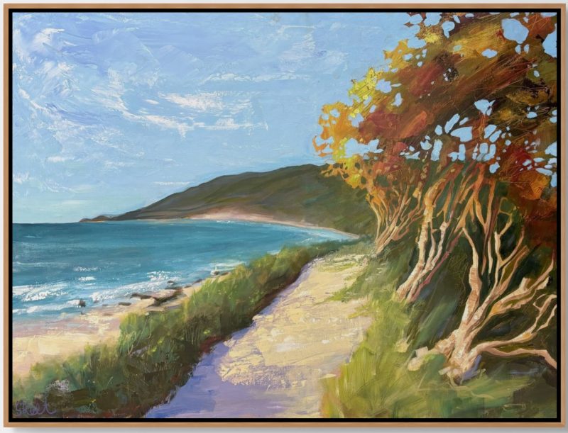 The Shapes of Yallingup