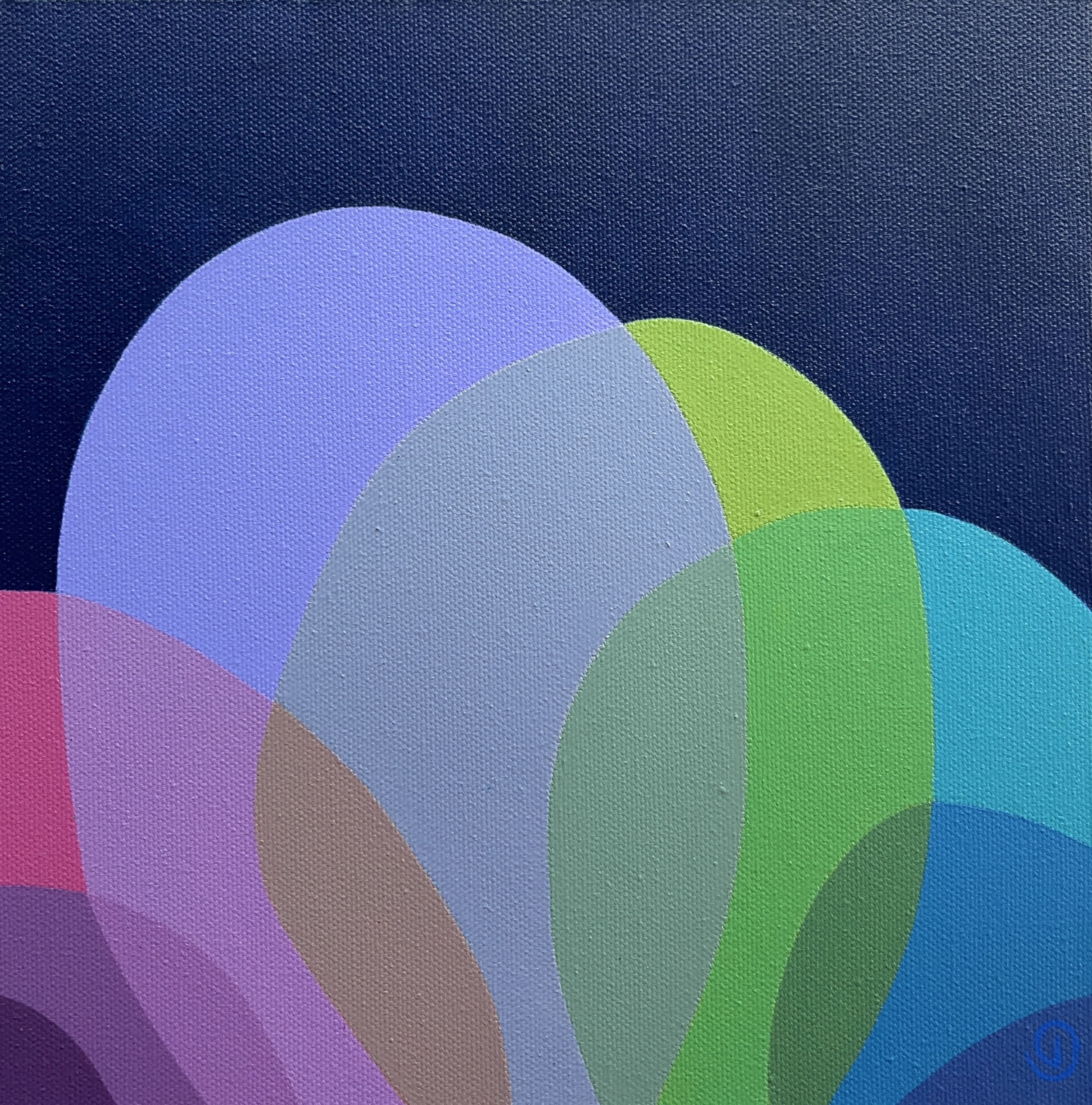 Charlotte De Pace Midnight Bloom I Abstract Painting Art Lovers Australia