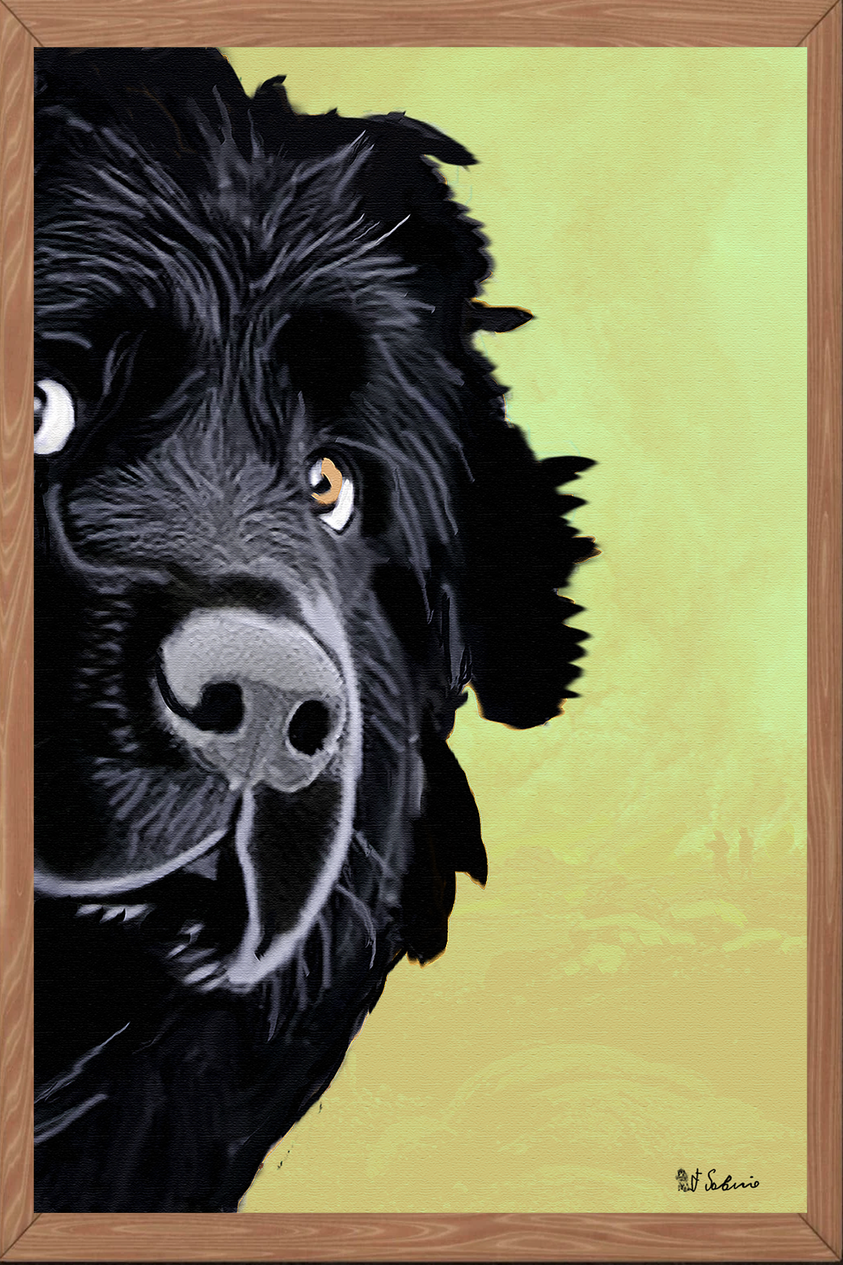 Street Urban Art Collection Number 564 Web 2