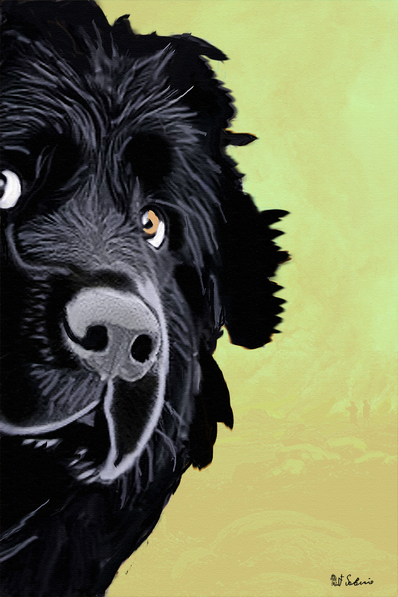 Street Urban Art Collection Number 564