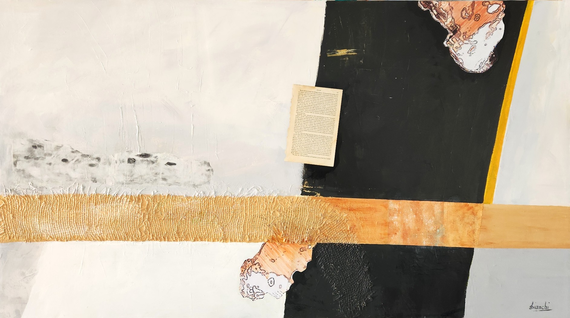 Swim Between The Lines, Don't Get Caught In The Shark Net By Susanne Bianchi.