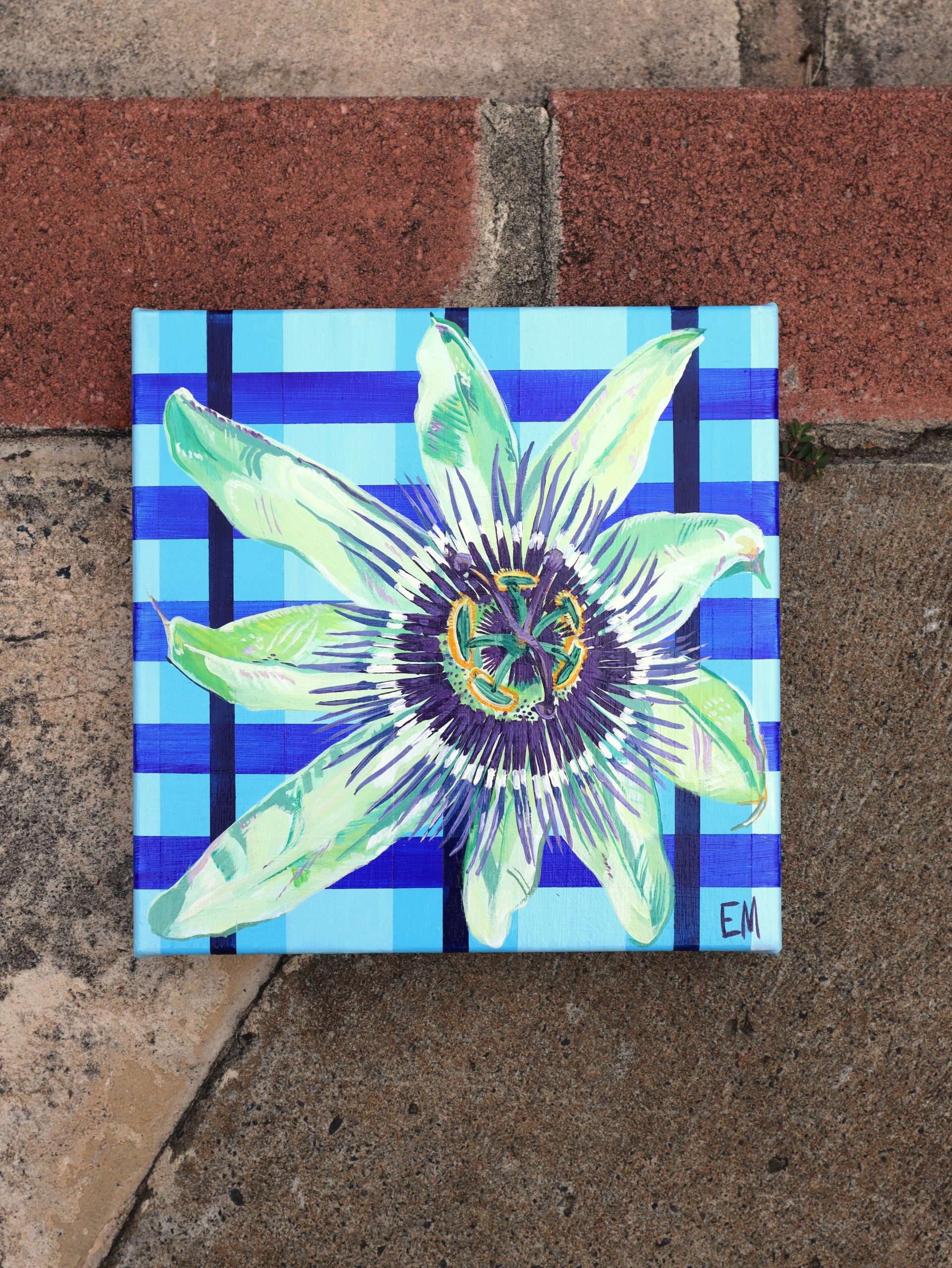 Passion Elisha Mcguckin Background