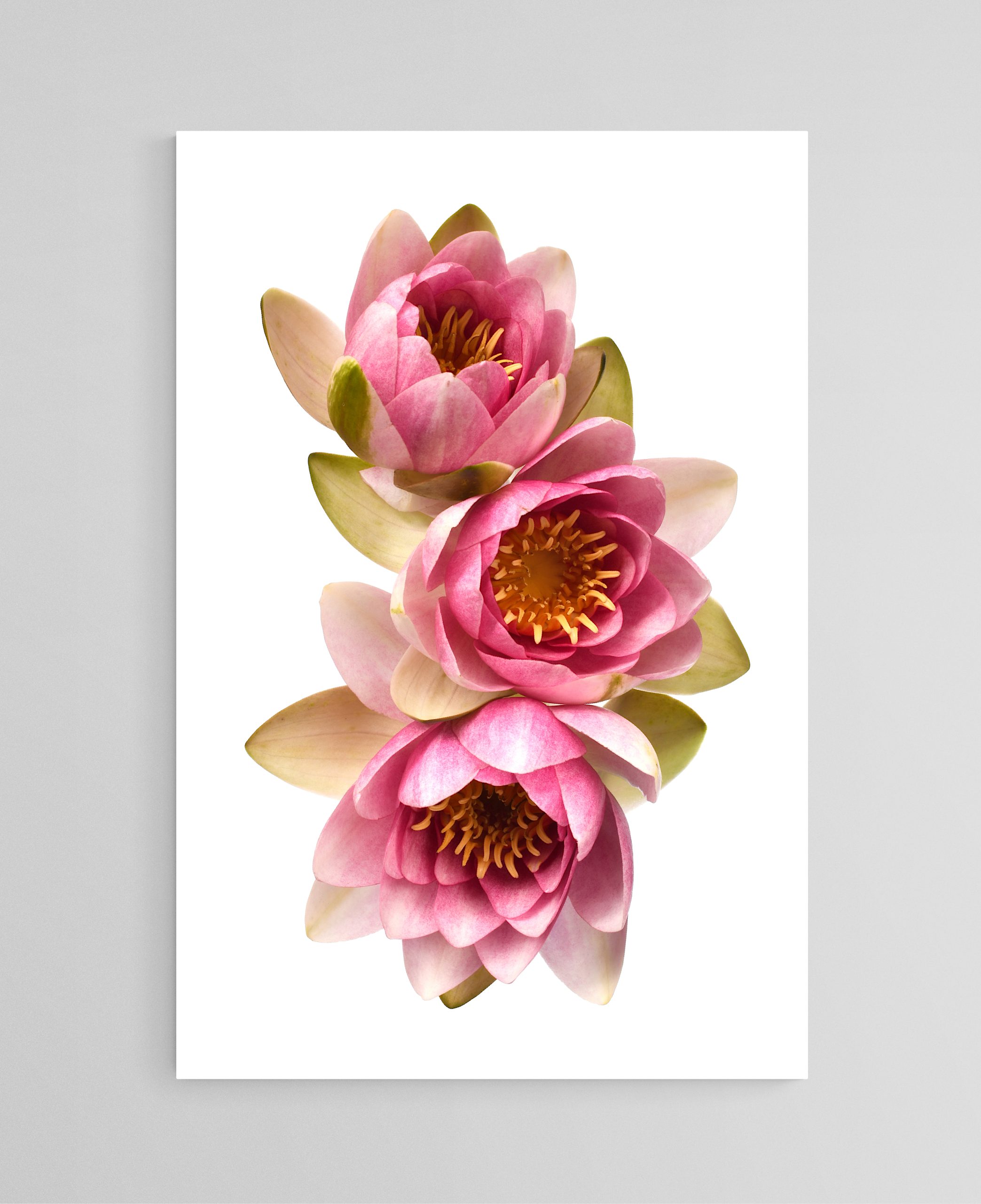 Empty Room 2025 12 01t160349.961