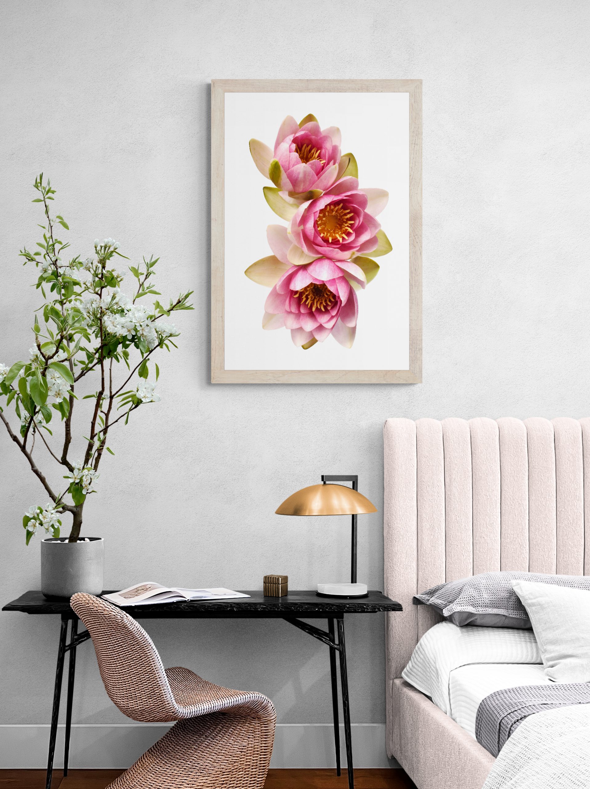 Bohemian Style Bedroom With Large Plant (6)