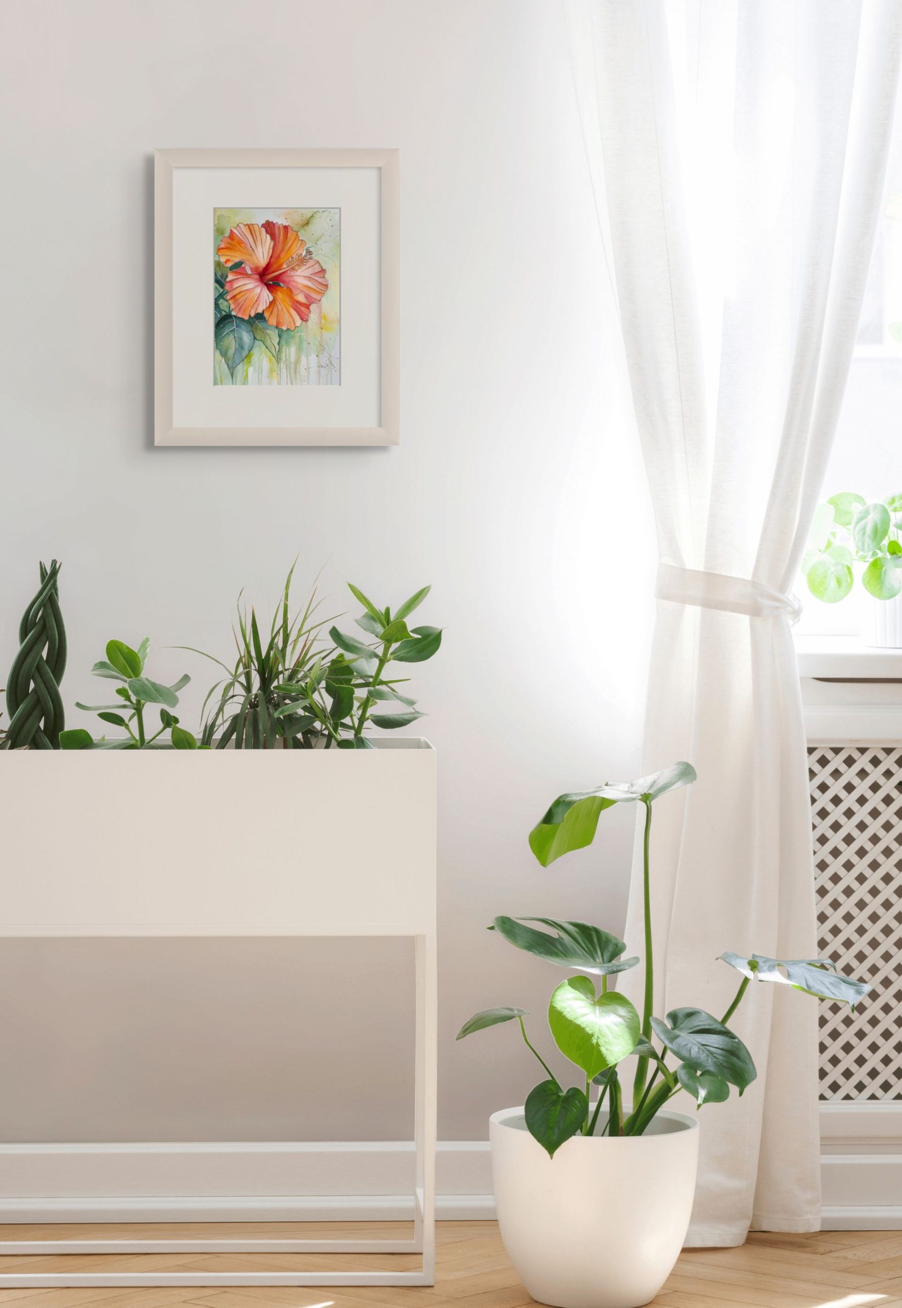 Tropical Radiance Medium (2)