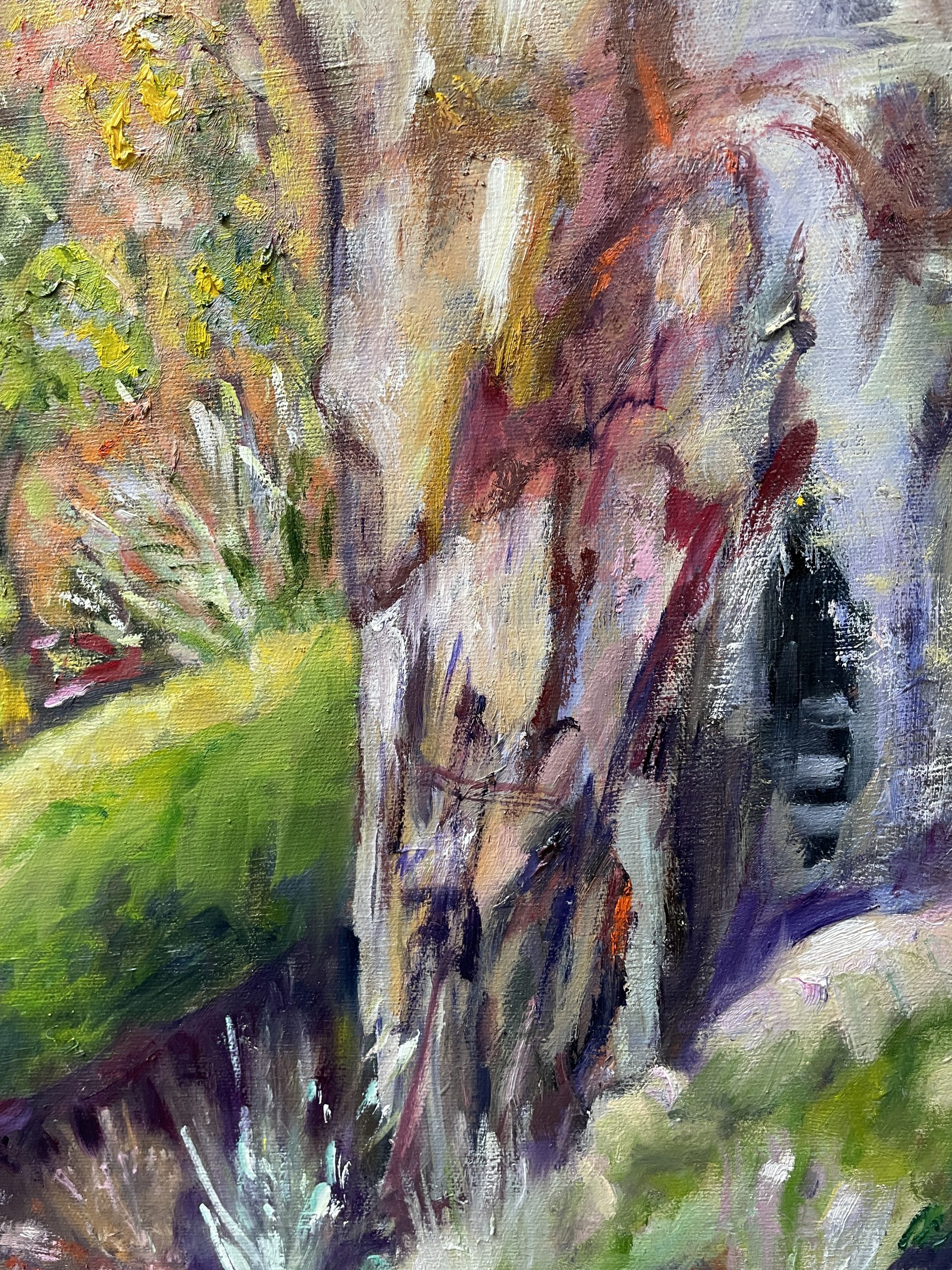Eucalyptus Tree Closeup 2